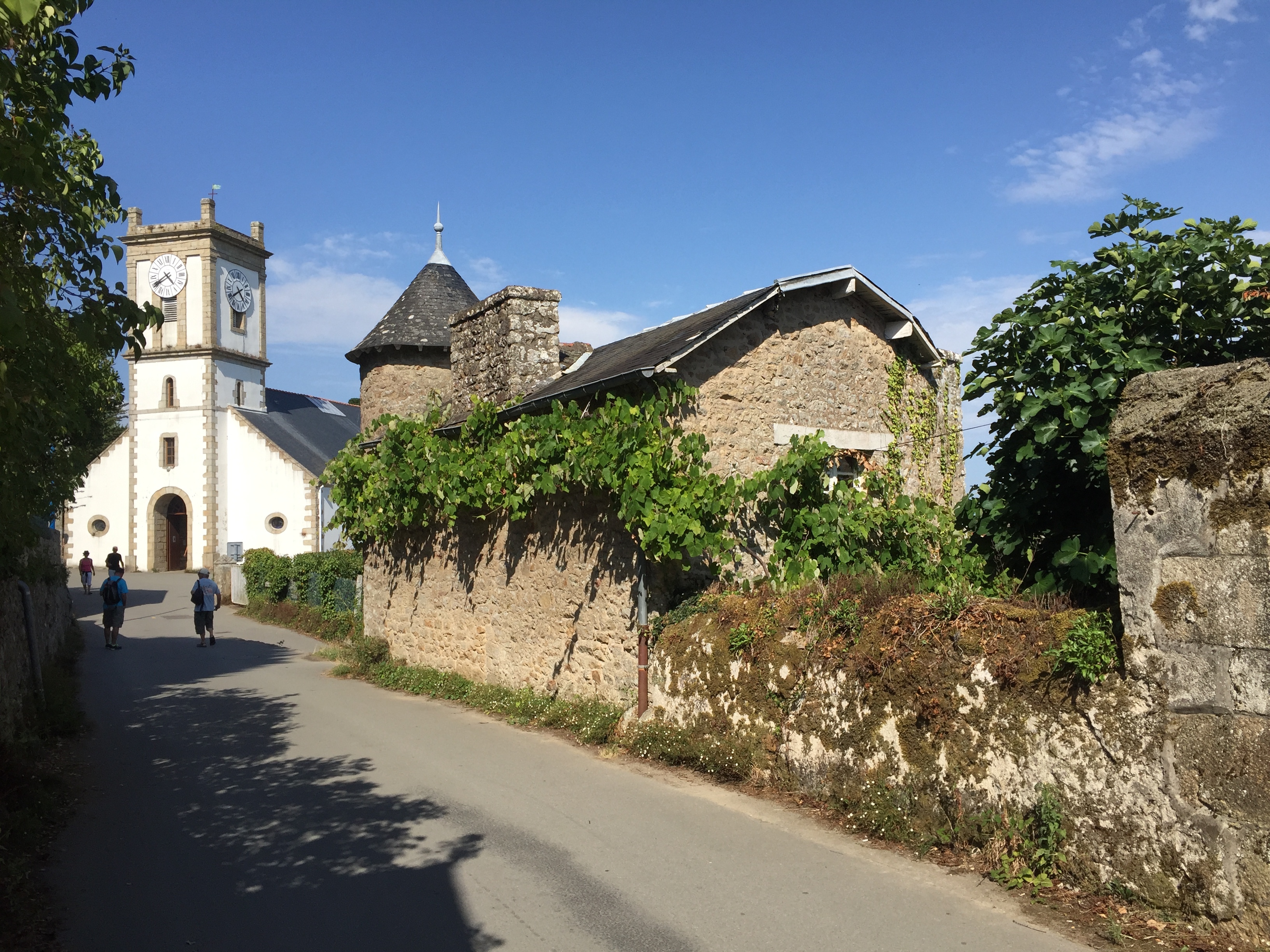 Picture France Ile-aux-Moines 2016-08 50 - Around Ile-aux-Moines