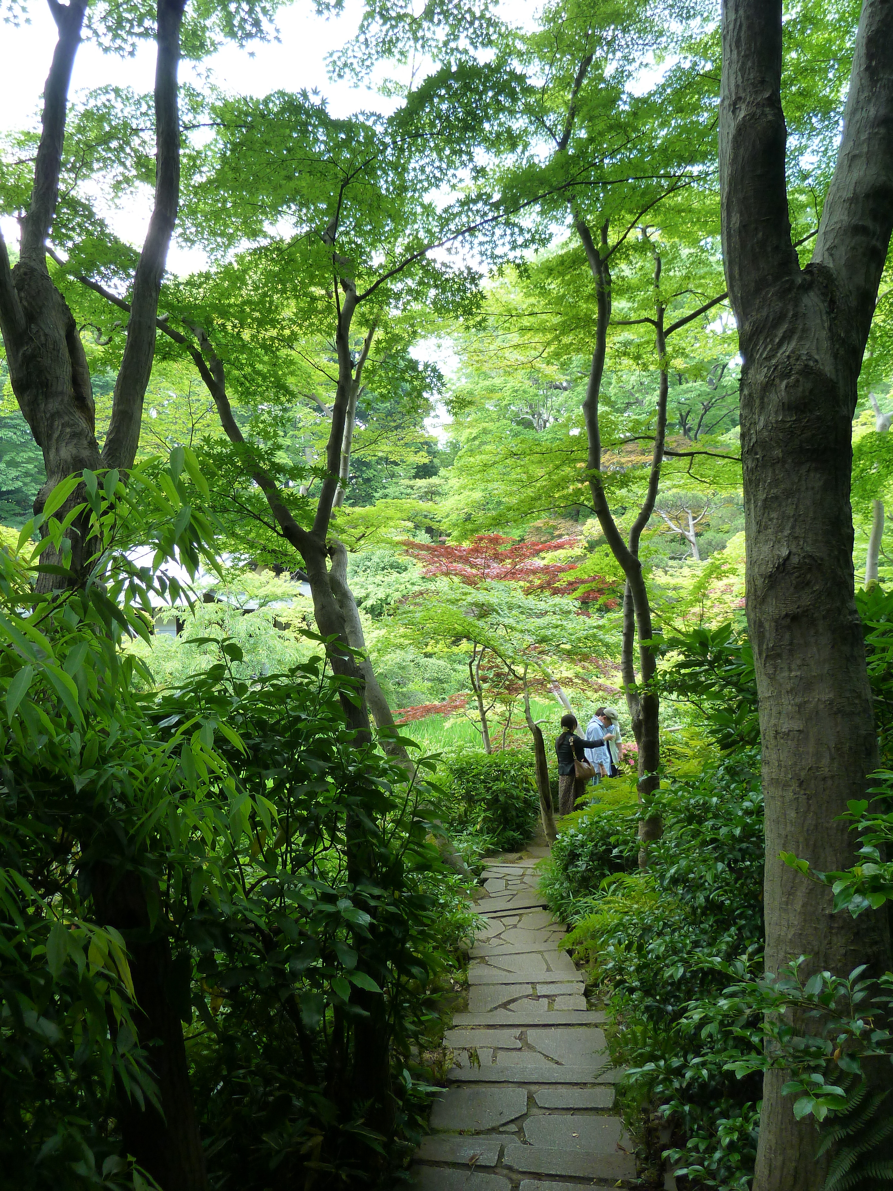 Picture Japan Tokyo Nezu Museum 2010-06 92 - Around Nezu Museum