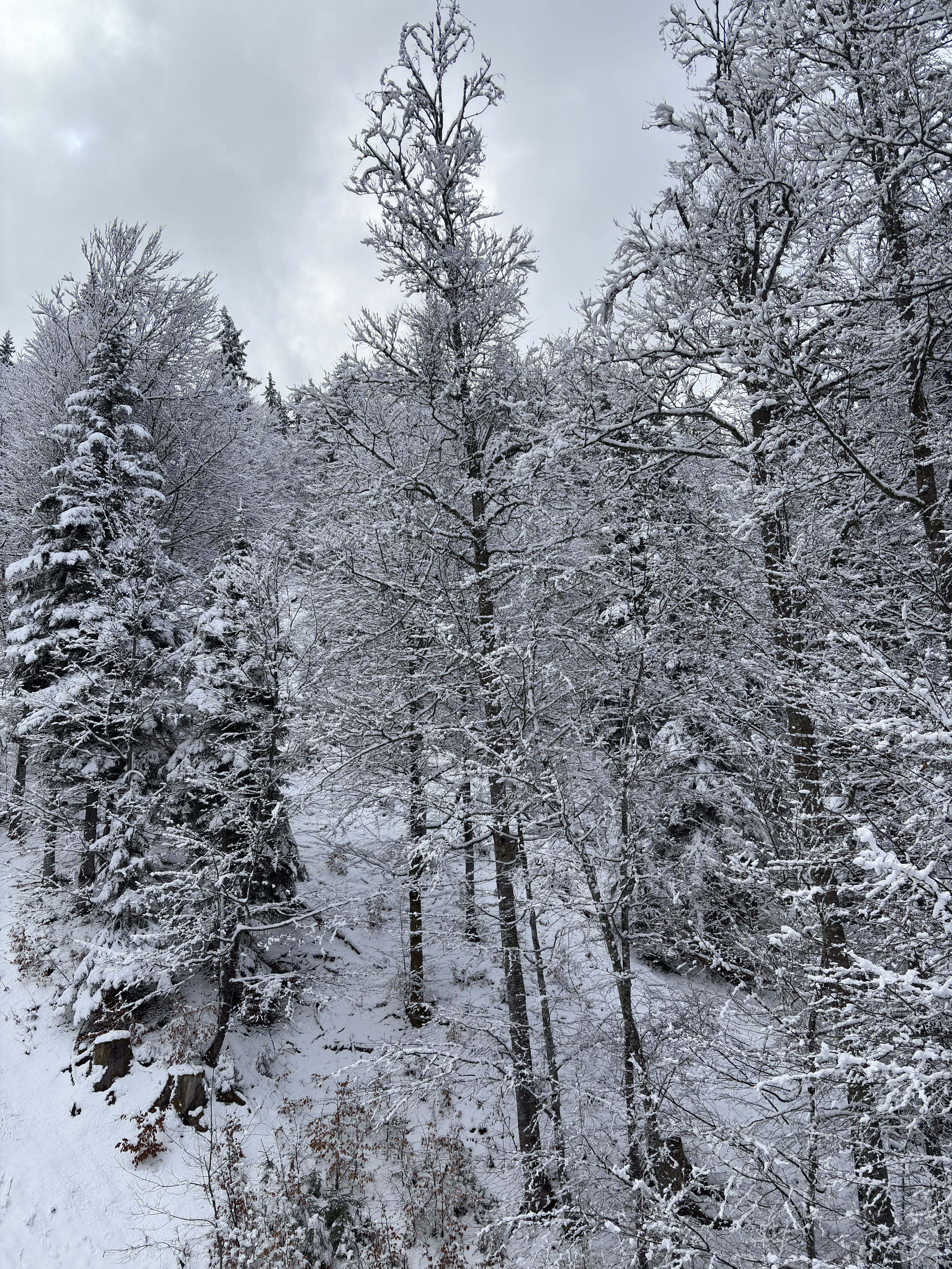 Picture France Praz sur Arly 2025-02 107 - Center Praz sur Arly