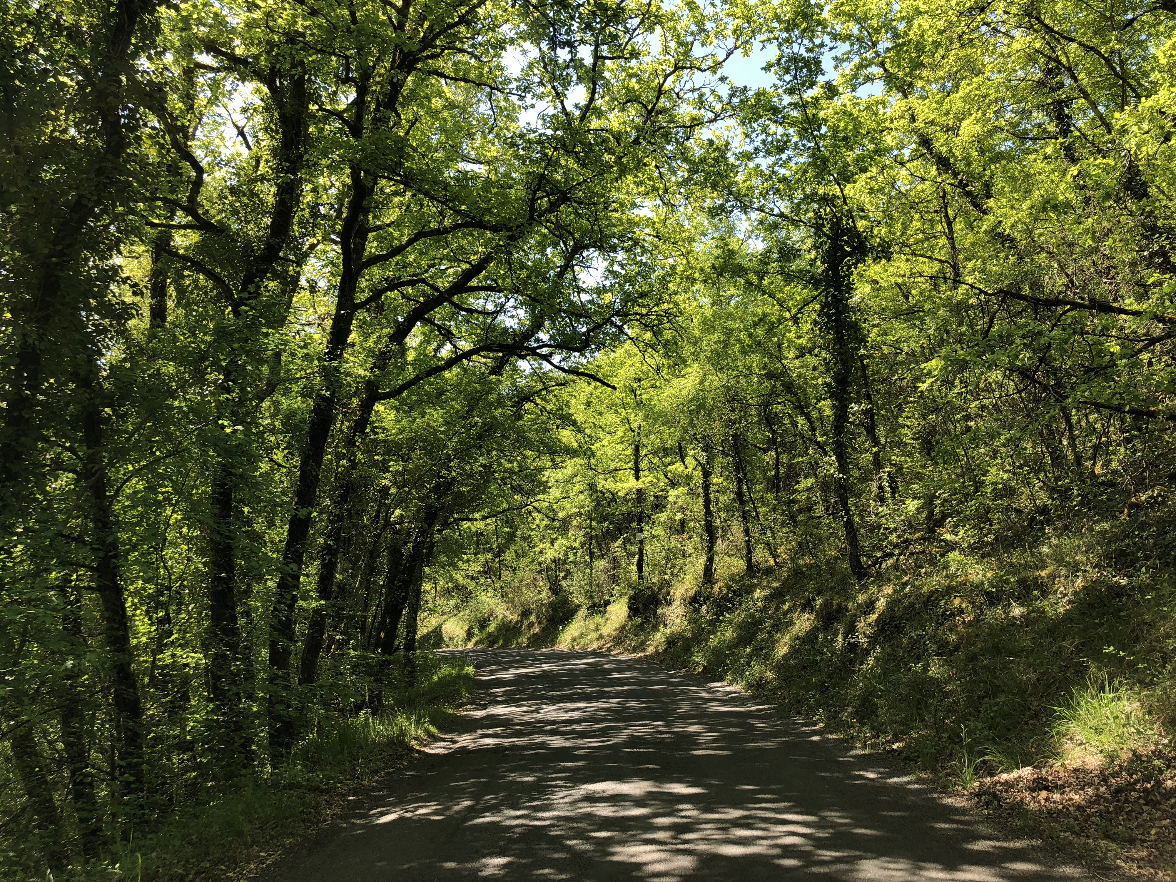 Picture France Floirac 2018-04 130 - Center Floirac