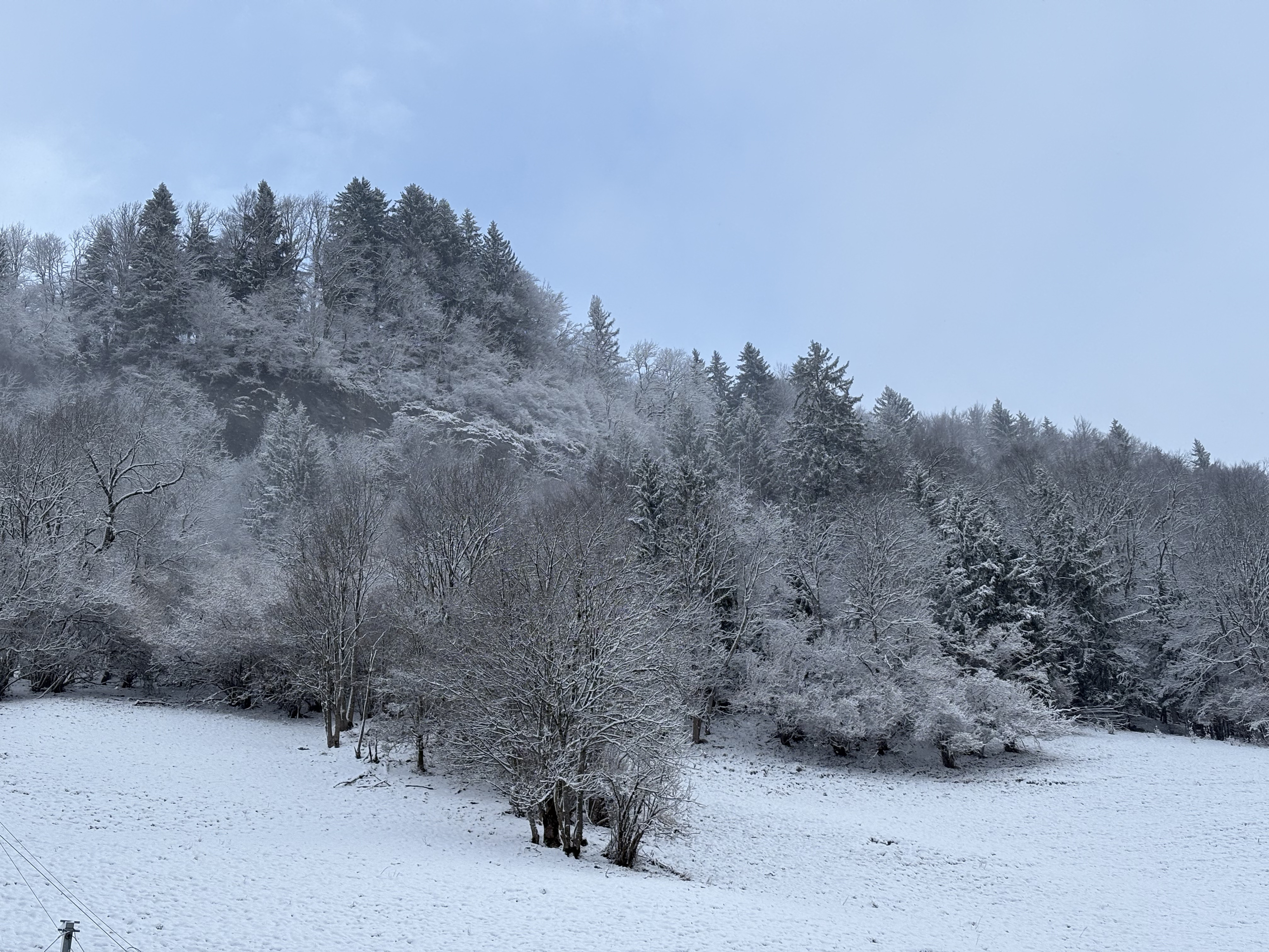 Picture France Praz sur Arly 2025-02 31 - Tours Praz sur Arly