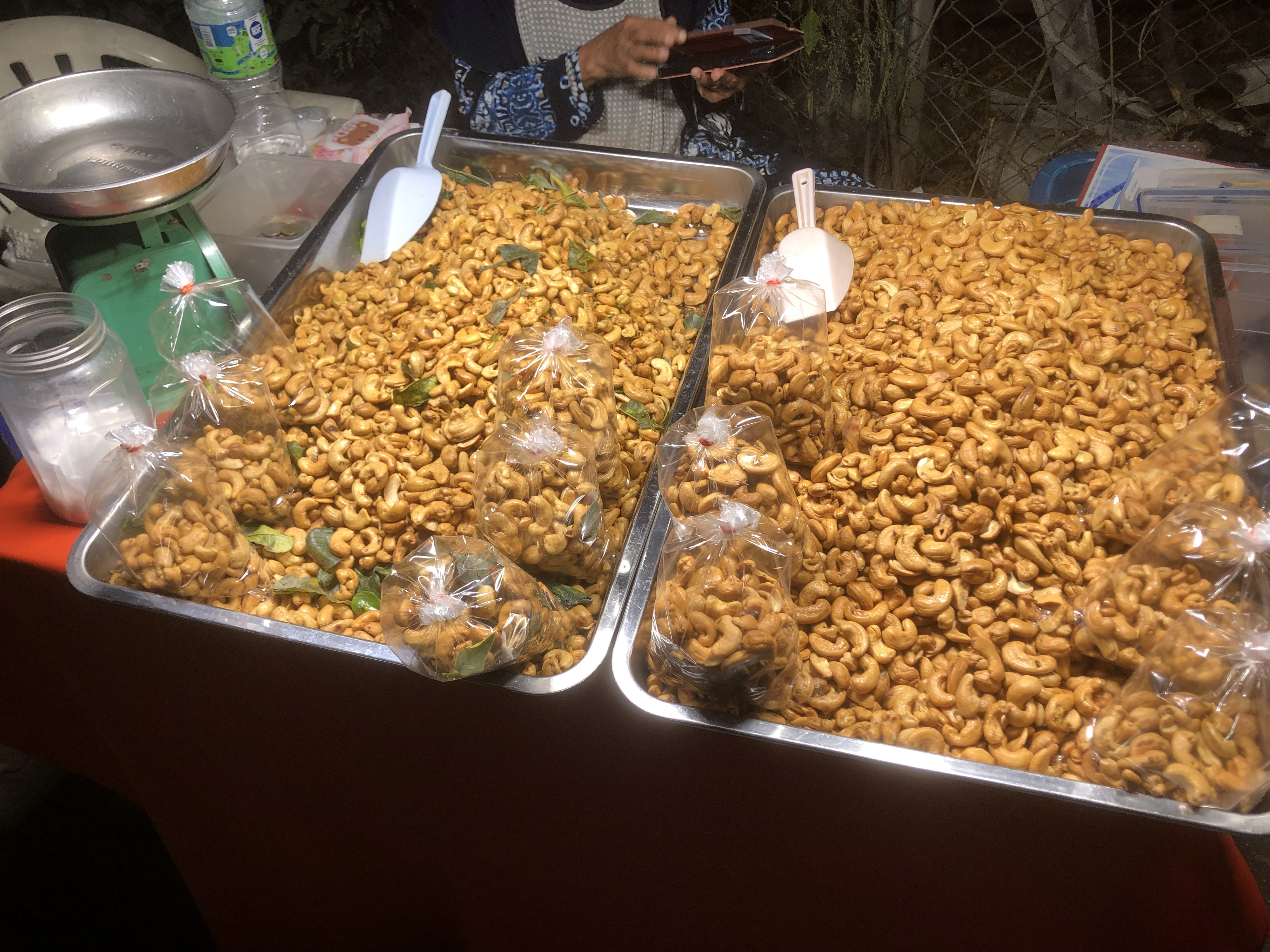 Picture Thailand Chiang Mai Nong Buak Haad Public Park 2024-01 12 - History Nong Buak Haad Public Park