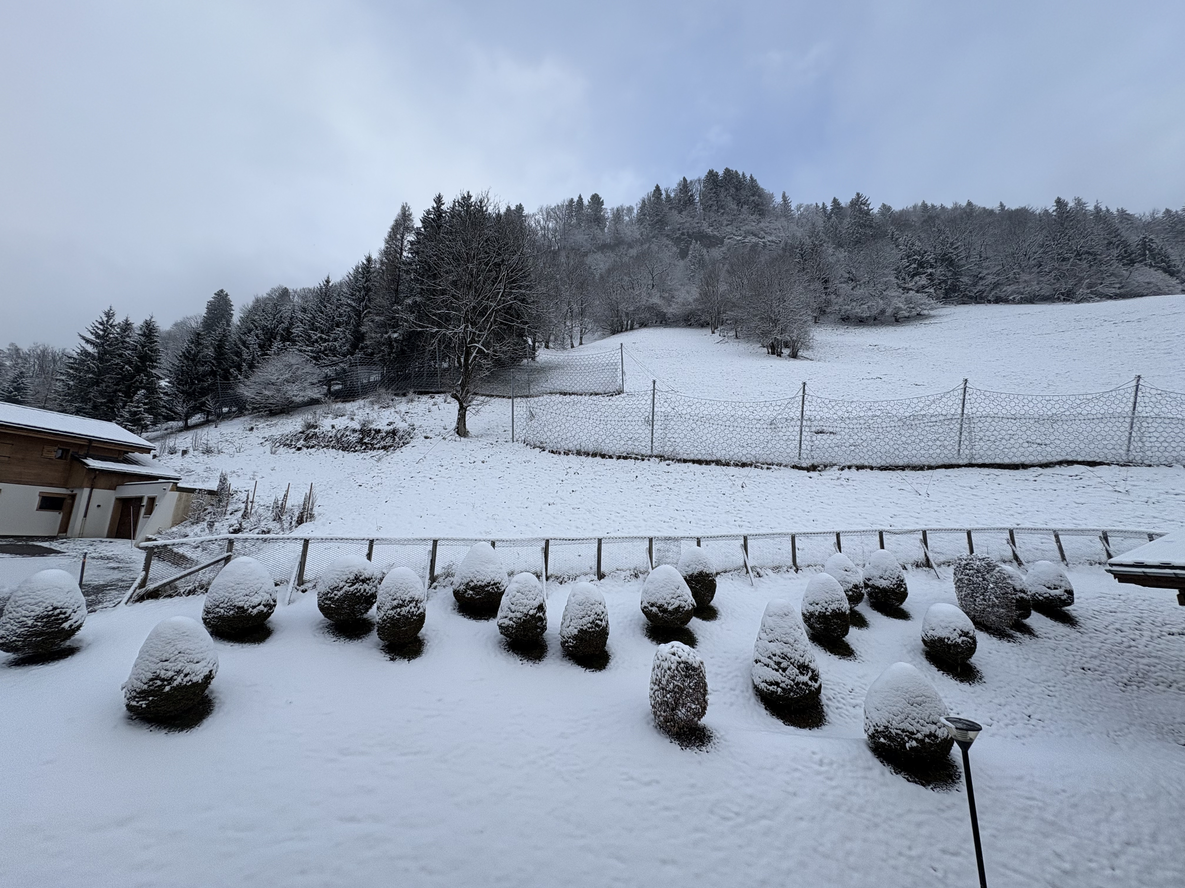Picture France Praz sur Arly 2025-02 40 - History Praz sur Arly