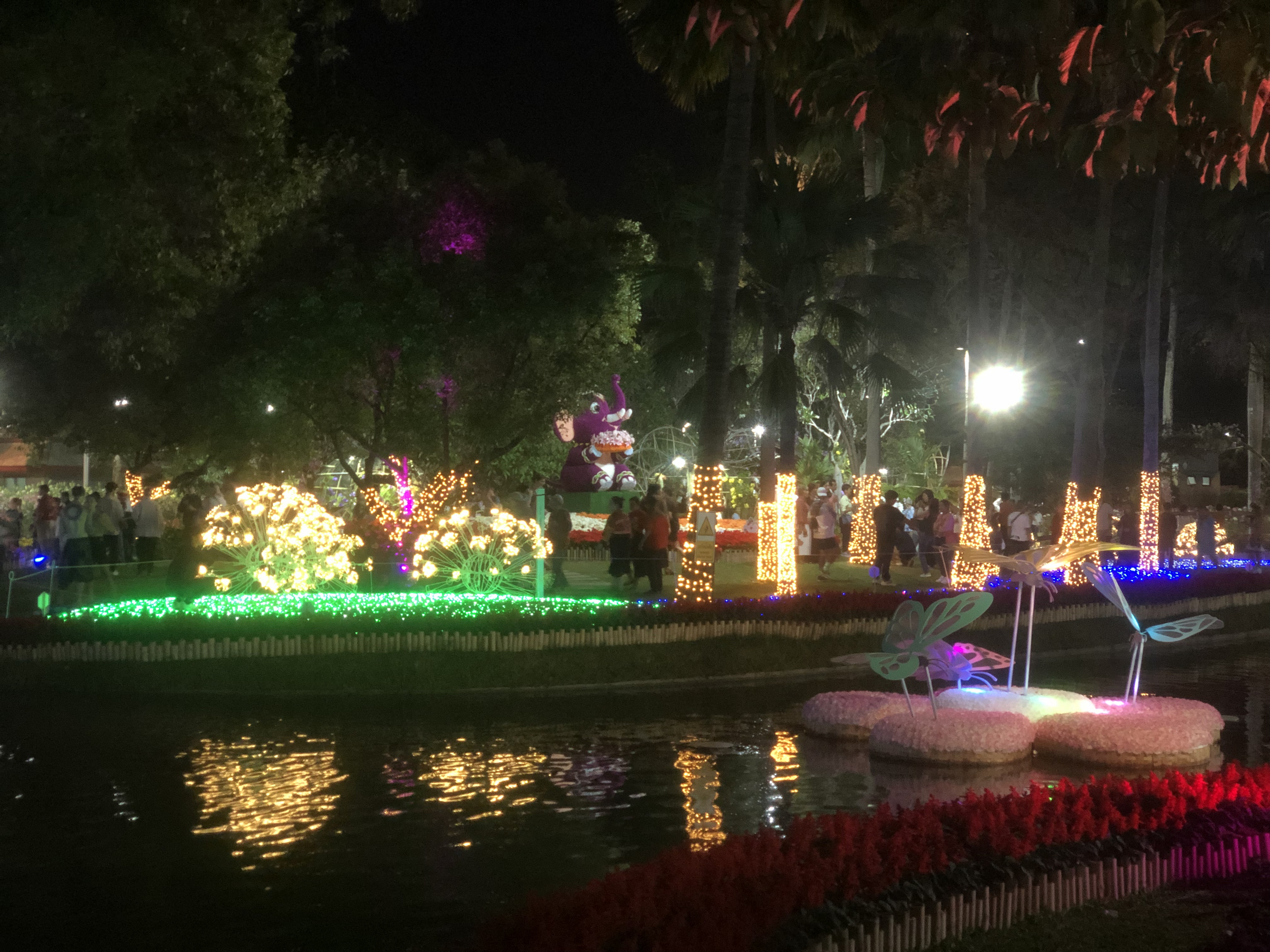 Picture Thailand Chiang Mai Nong Buak Haad Public Park 2024-01 49 - Journey Nong Buak Haad Public Park