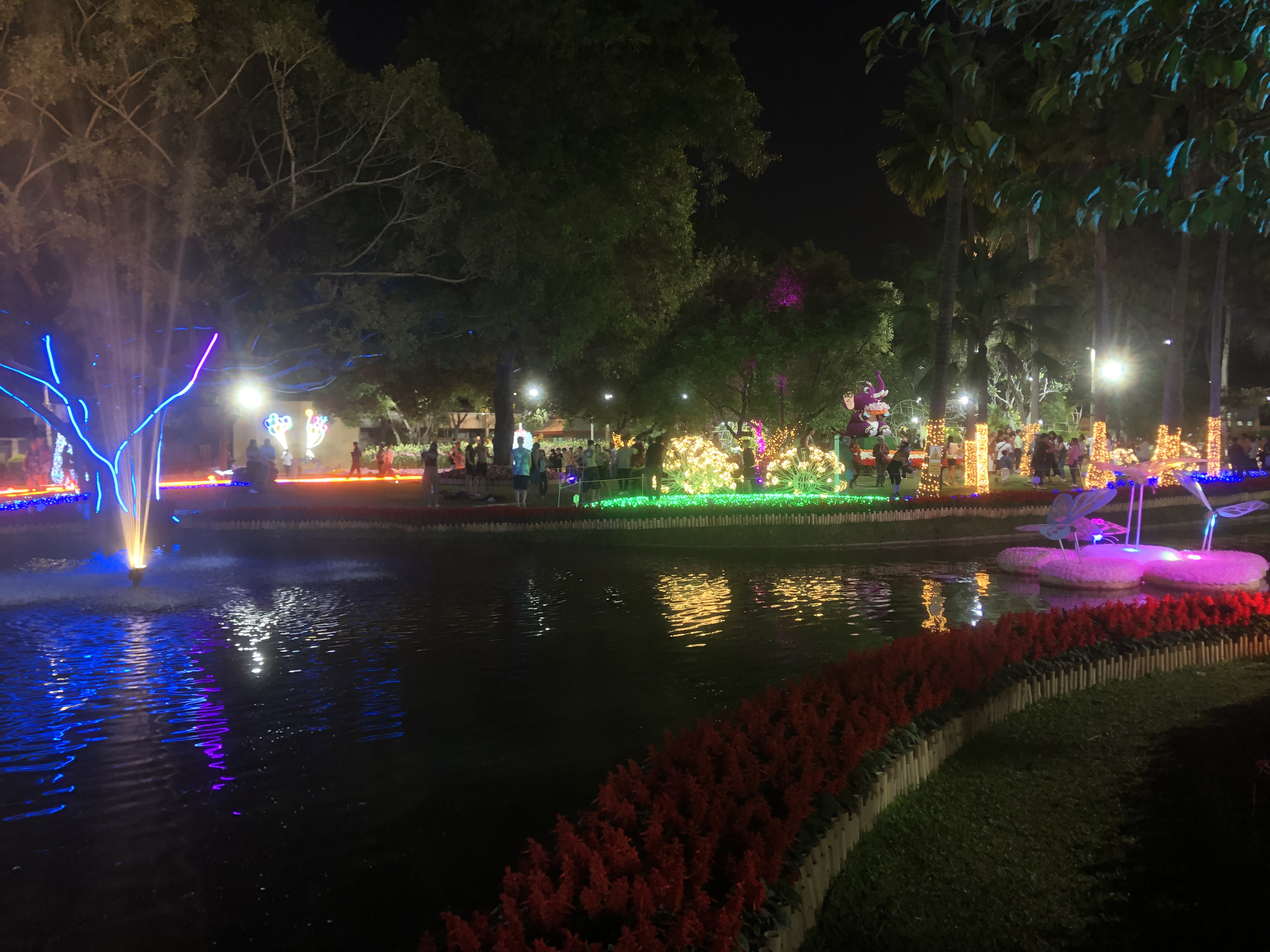 Picture Thailand Chiang Mai Nong Buak Haad Public Park 2024-01 59 - Tours Nong Buak Haad Public Park