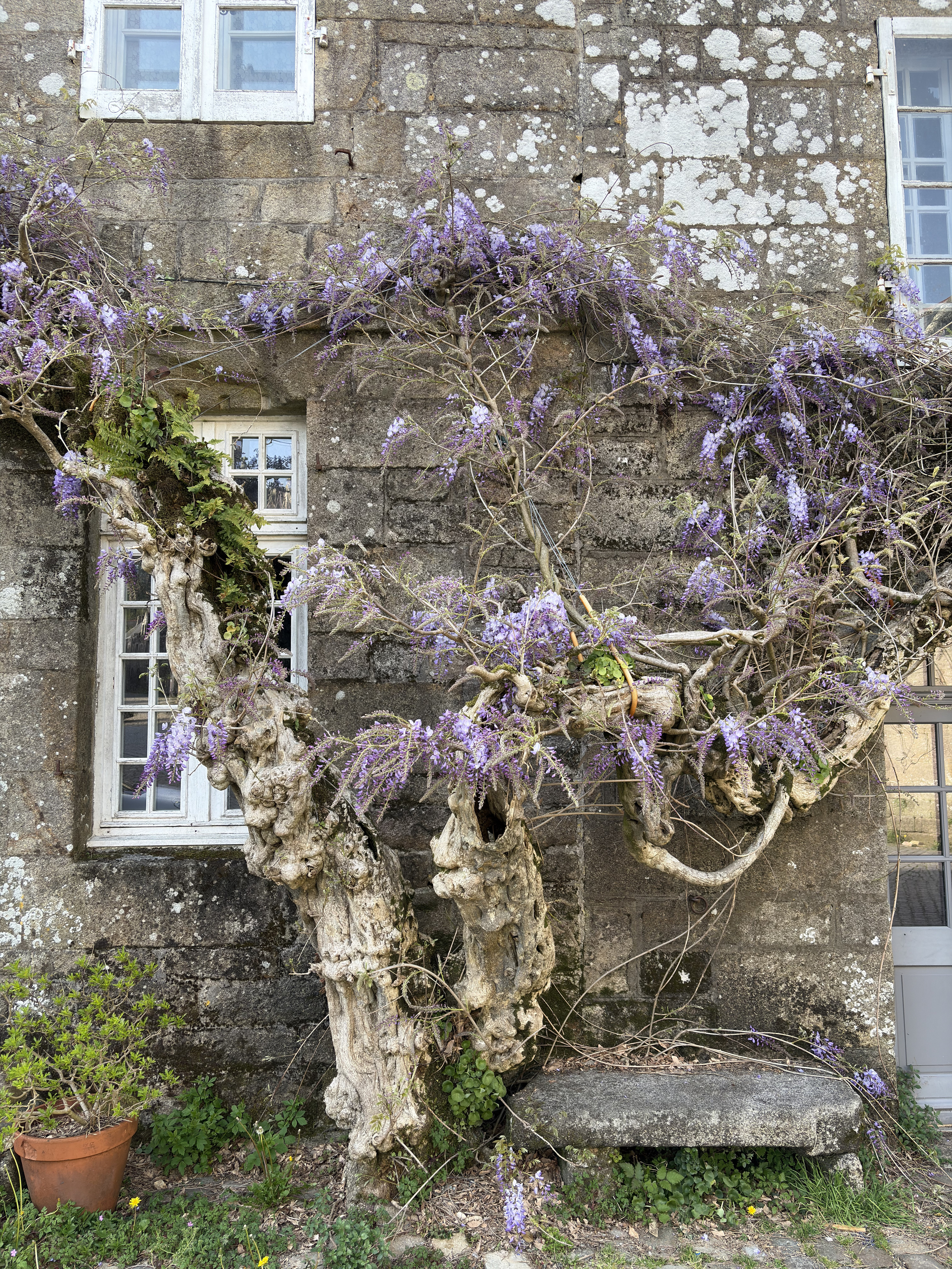 Picture France Locronan 2026-04 89 - Journey Locronan