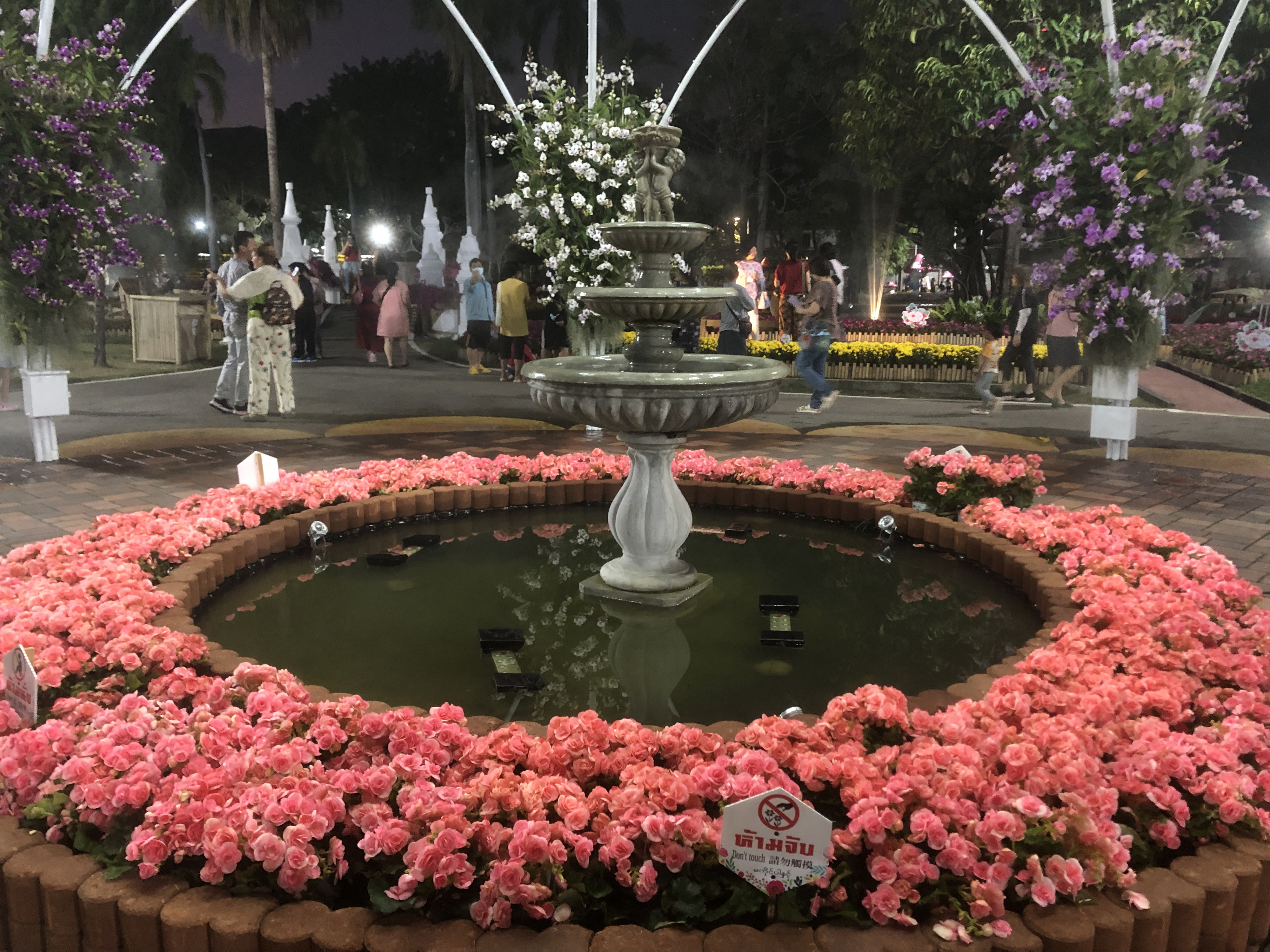 Picture Thailand Chiang Mai Nong Buak Haad Public Park 2024-01 30 - Recreation Nong Buak Haad Public Park