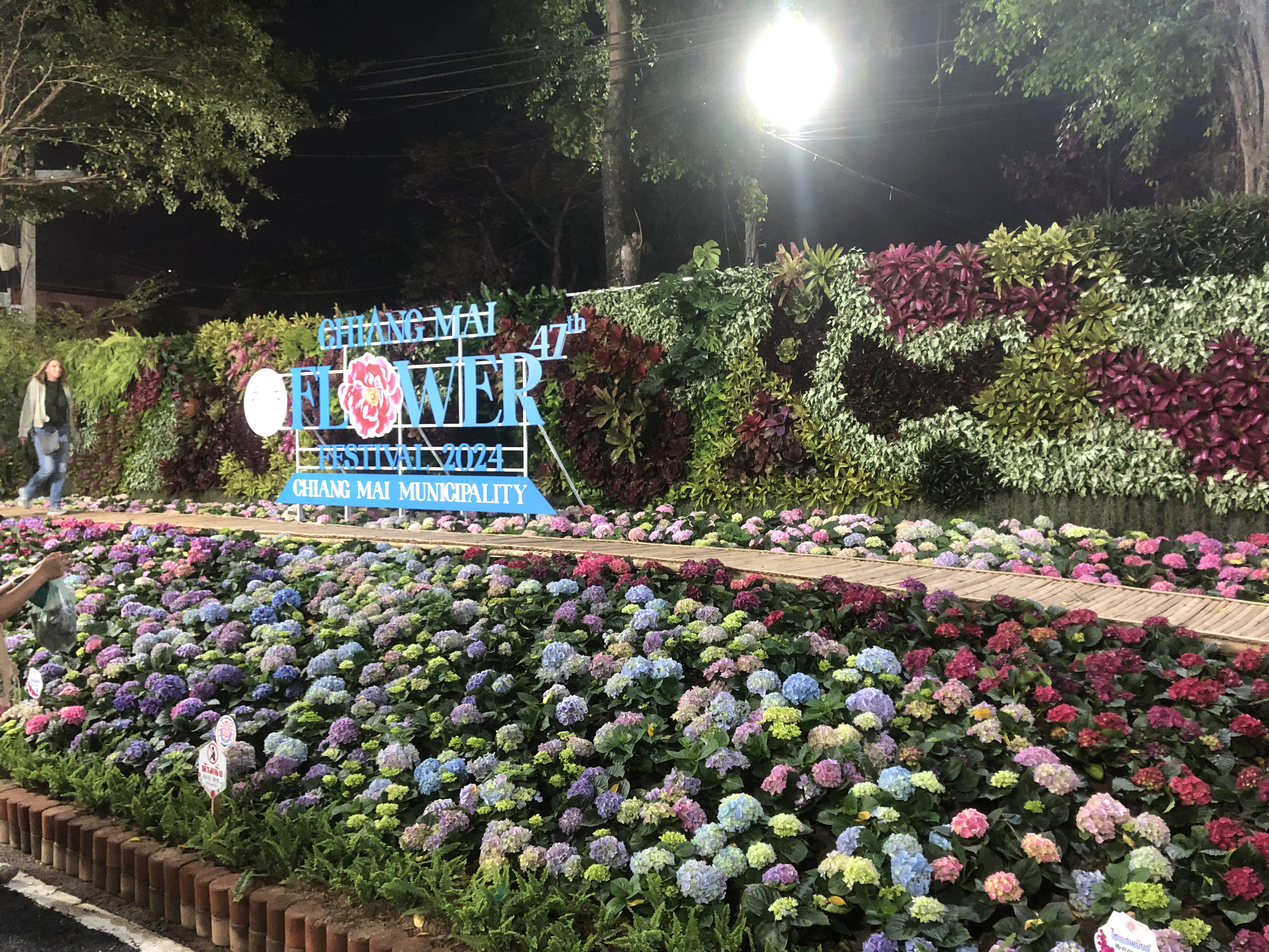 Picture Thailand Chiang Mai Nong Buak Haad Public Park 2024-01 18 - History Nong Buak Haad Public Park