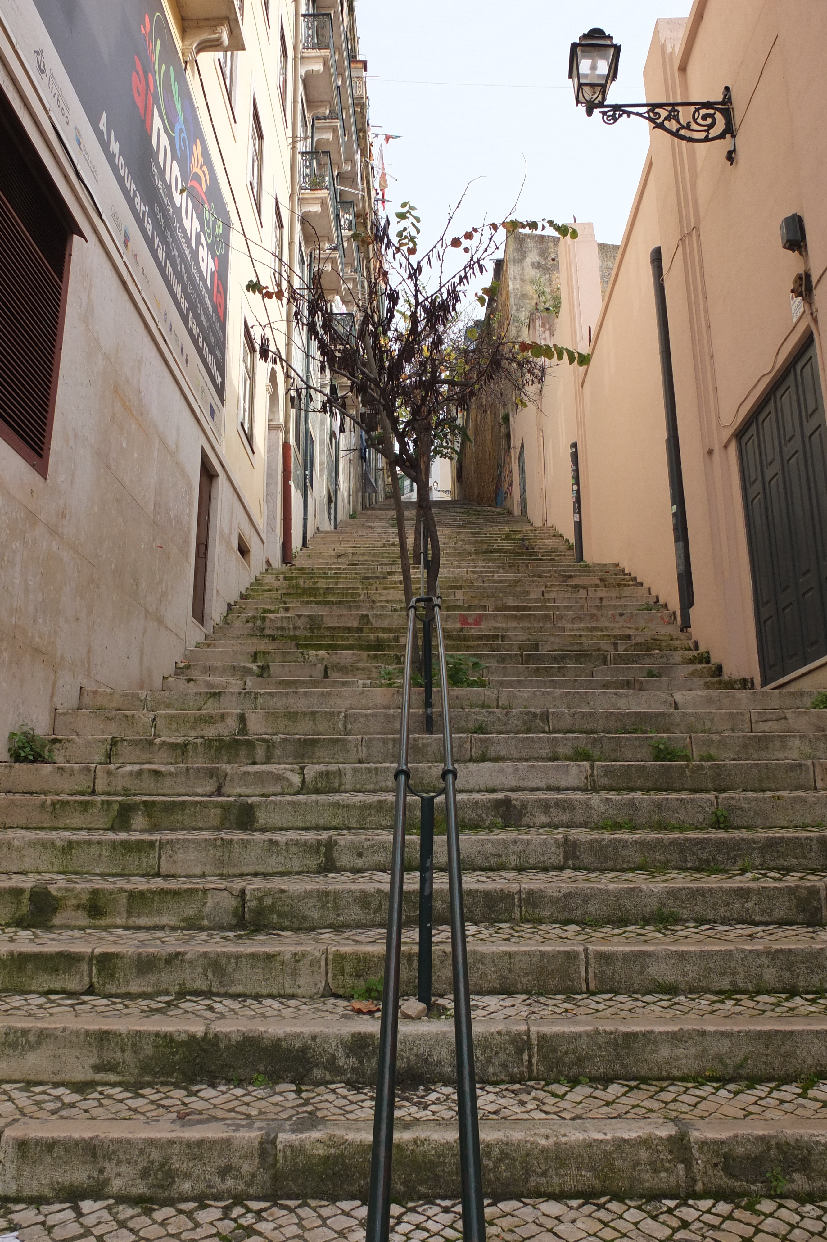 Picture Portugal Lisboa 2013-01 161 - Around Lisboa