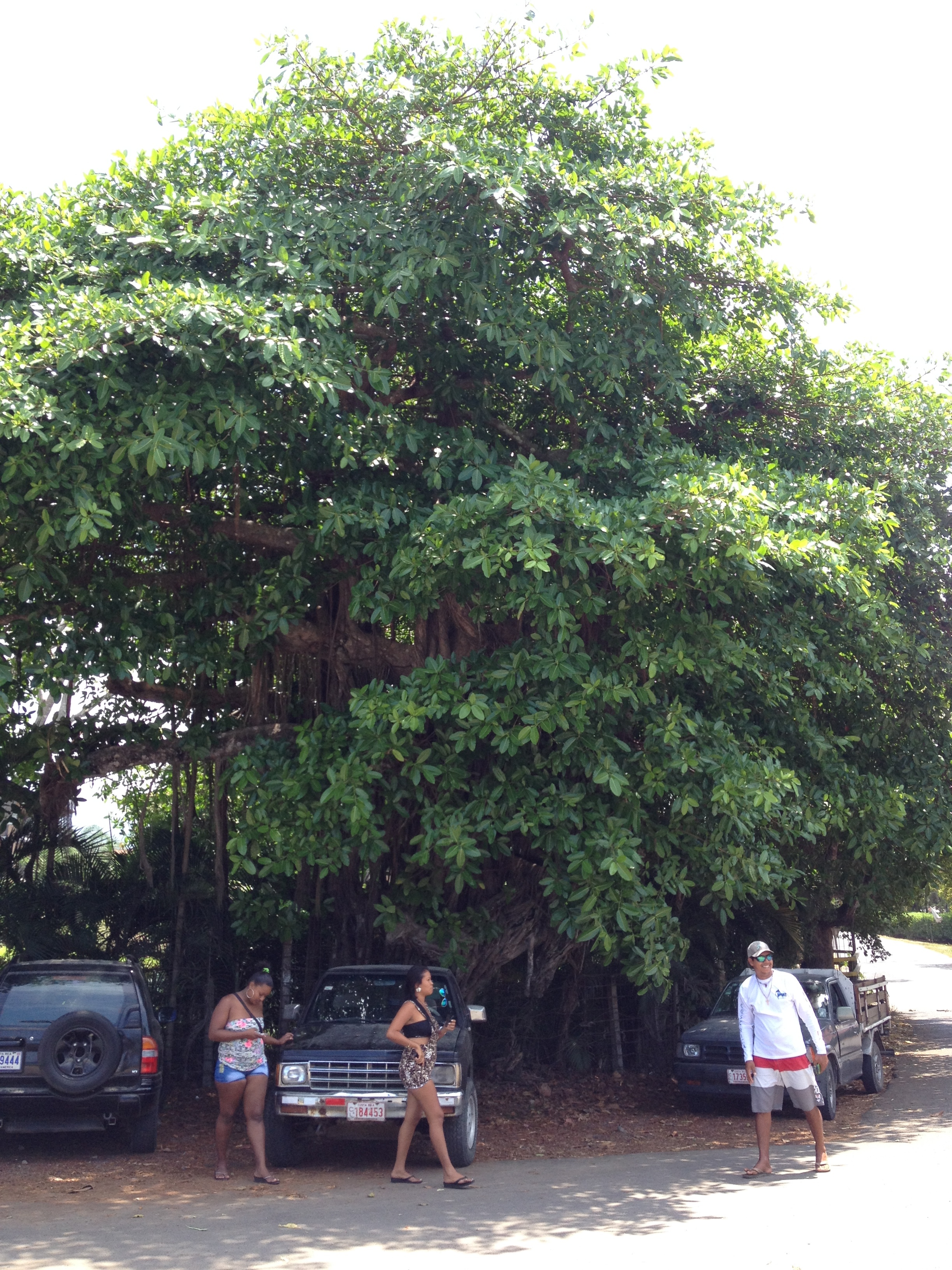 Picture Costa Rica Jaco 2015-03 18 - Tour Jaco