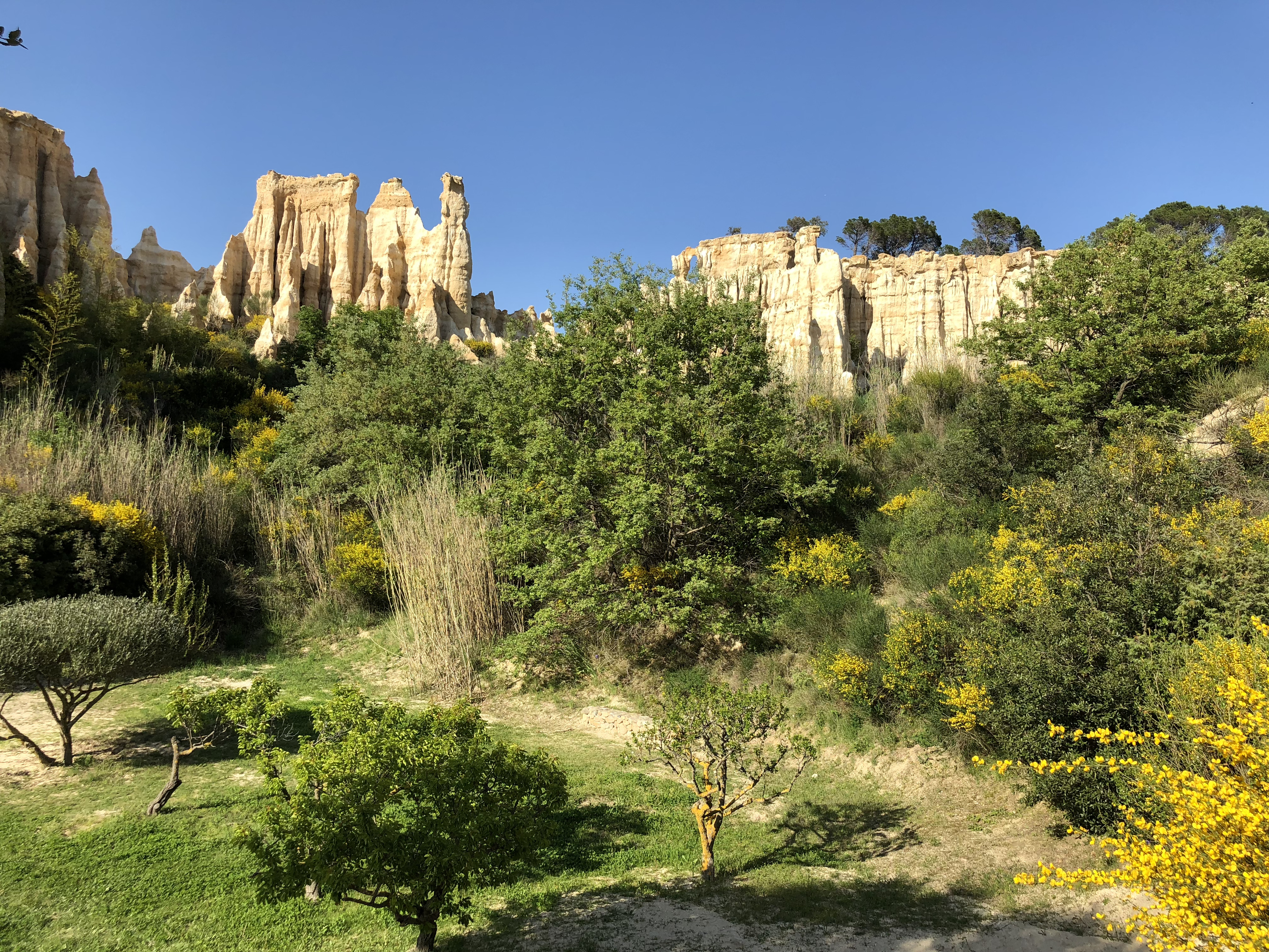 Picture France Orgues d'Ille Sur Tet 2018-04 98 - Discovery Orgues d'Ille Sur Tet