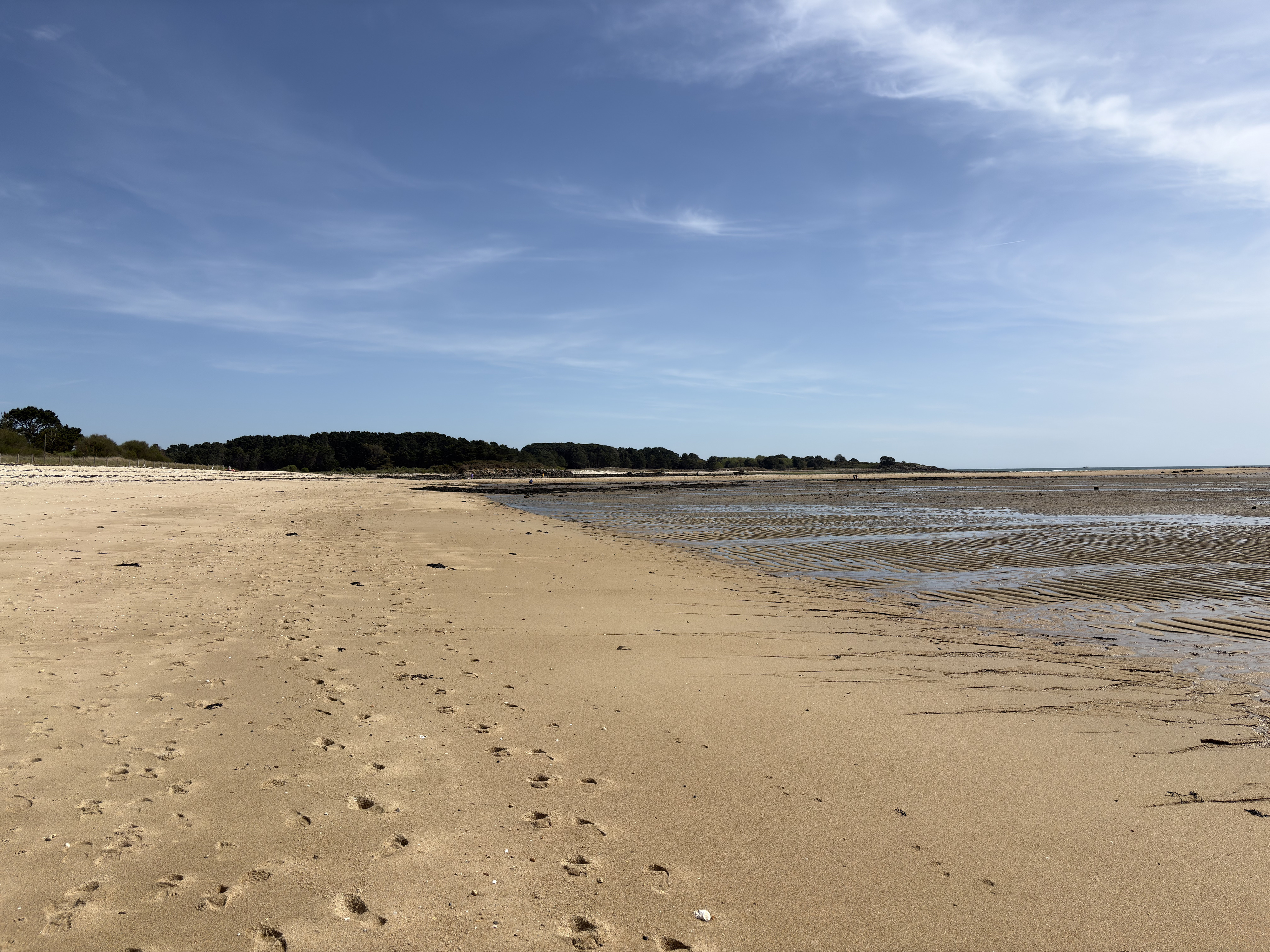 Picture France La Trinité sur Mer 2026-04 49 - Recreation La Trinité sur Mer