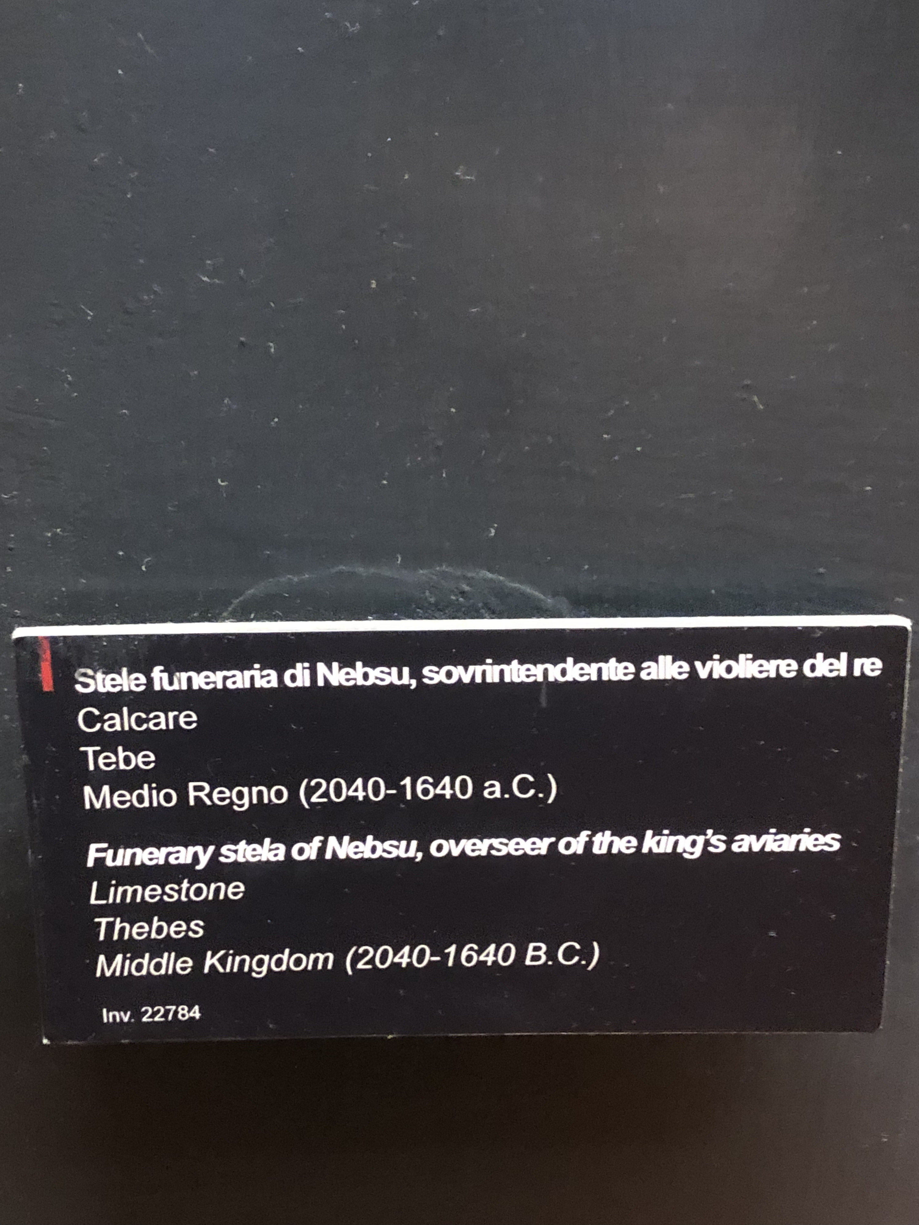 Picture Italy Rome Vatican Museum 2024-09 278 - Tours Vatican Museum