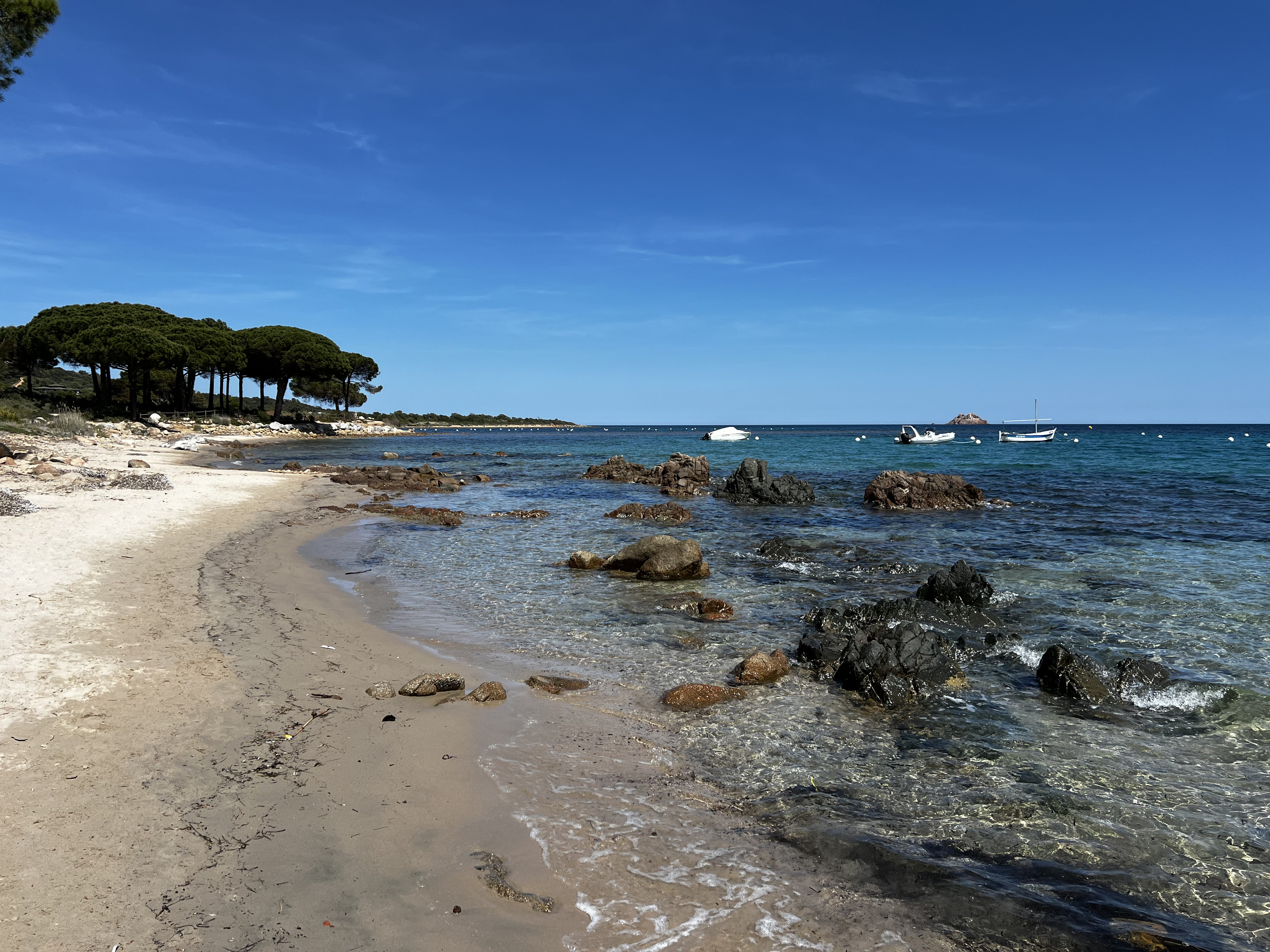 Picture France Corsica Pinarellu Beach 2024-05 7 - Around Pinarellu Beach