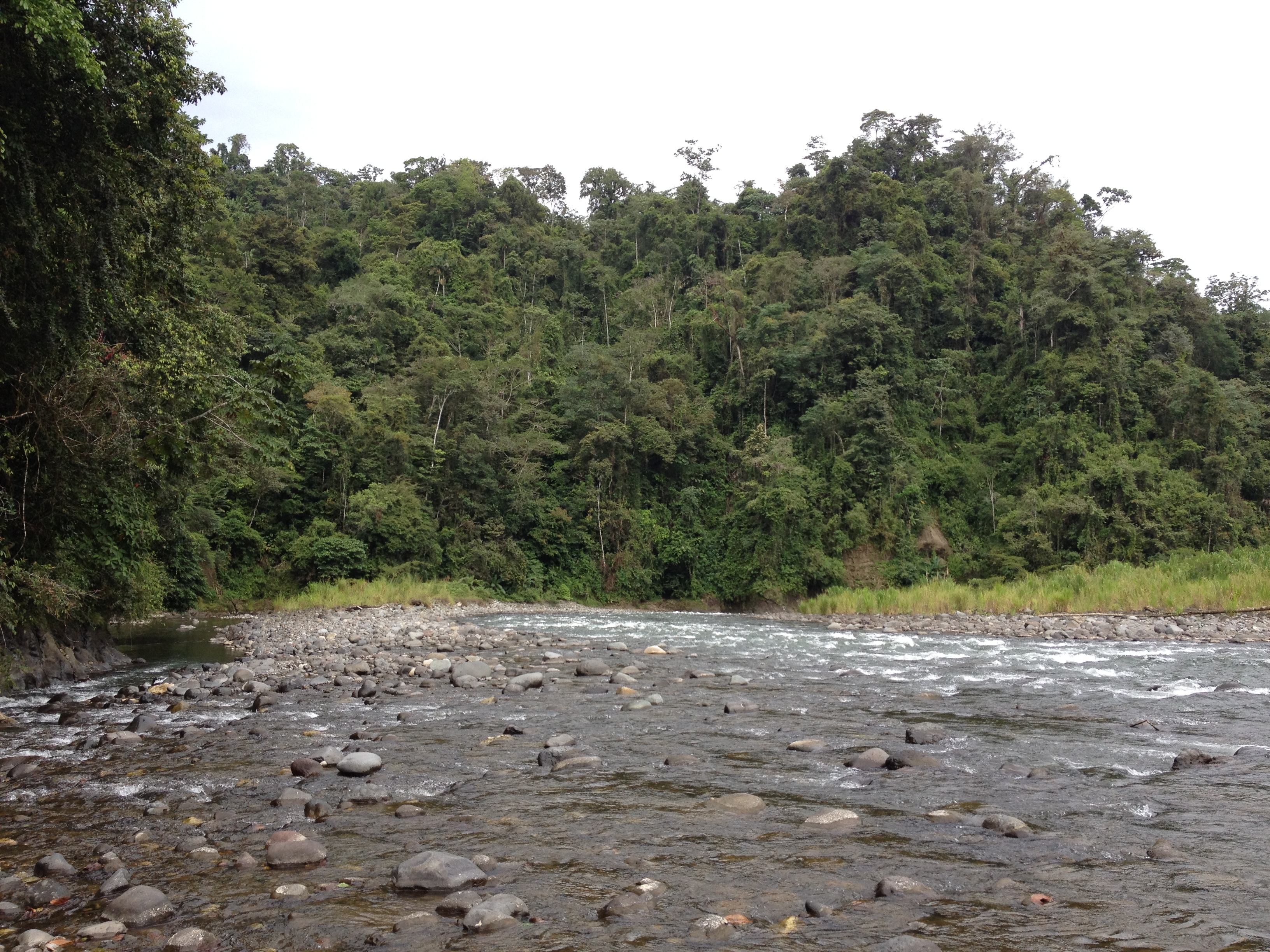 Picture Costa Rica Pacuare River 2015-03 166 - Journey Pacuare River