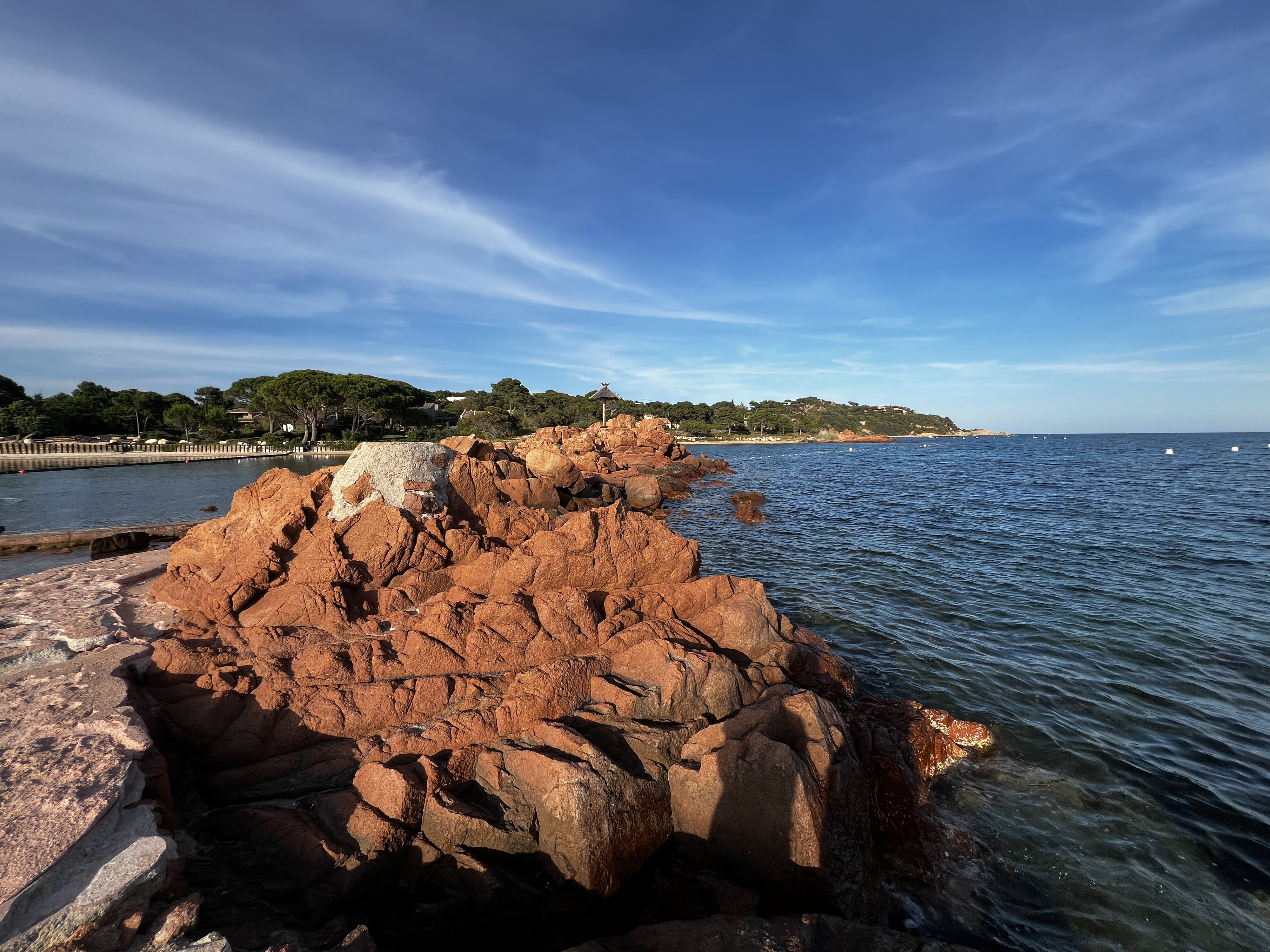 Picture France Corsica ⁨Cala Rossa⁩ 2024-05 16 - Around ⁨Cala Rossa⁩