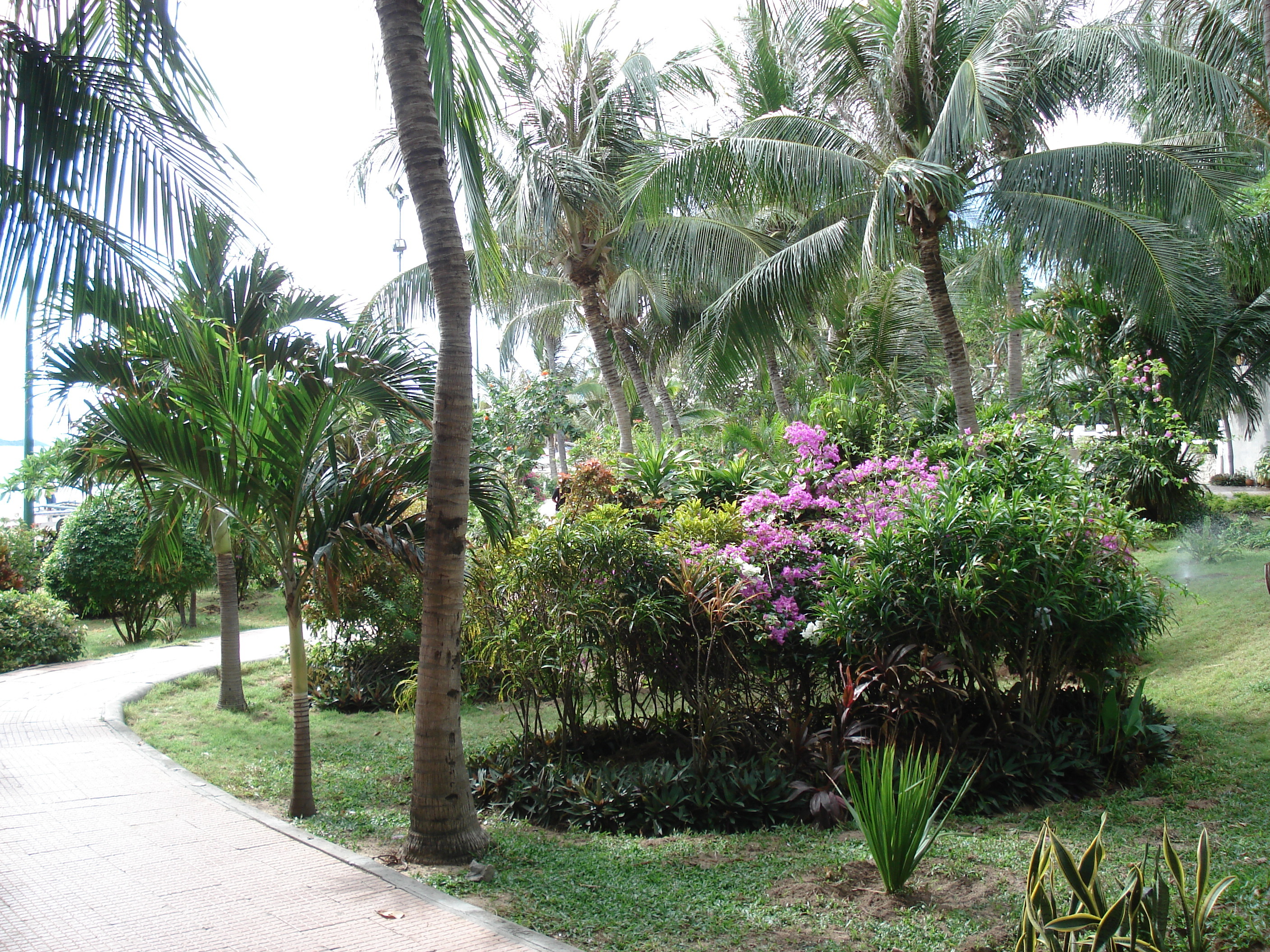 Picture Thailand Jomtien Beach Viewtalay project 3 2006-09 1 - Journey Viewtalay project 3