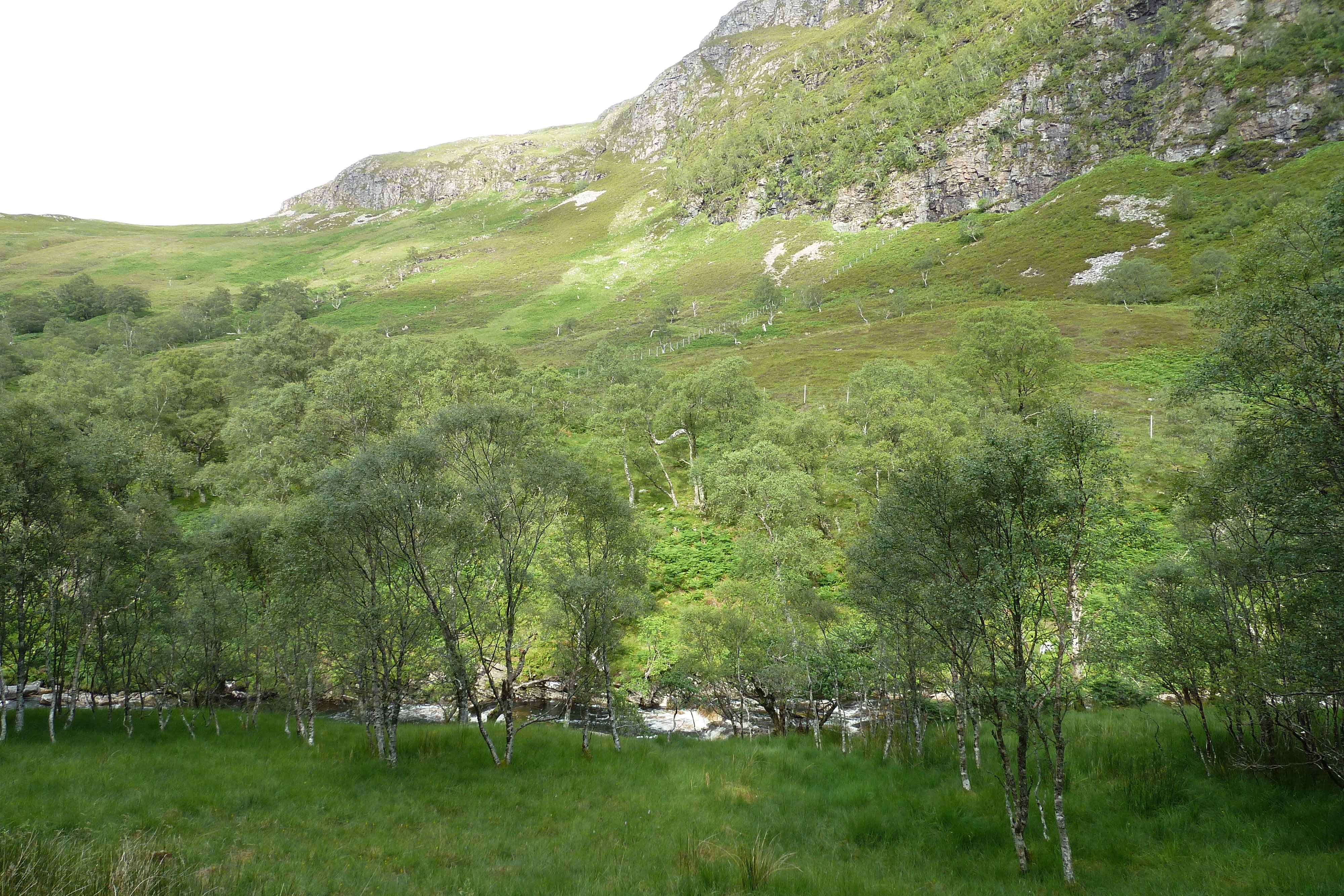 Picture United Kingdom Wester Ross 2011-07 119 - Tour Wester Ross