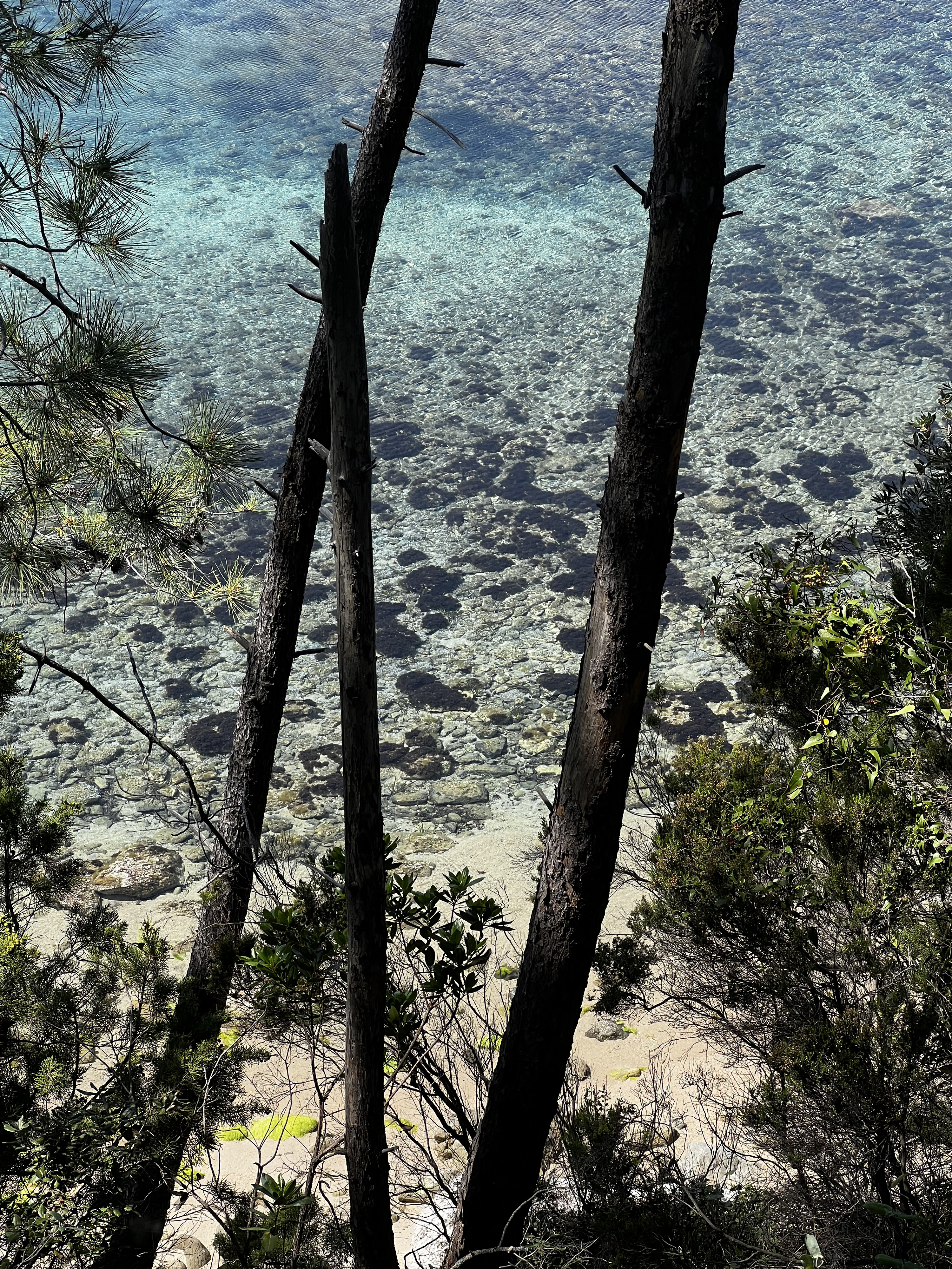 Picture France Corsica Favone Beach 2024-05 2 - Discovery Favone Beach