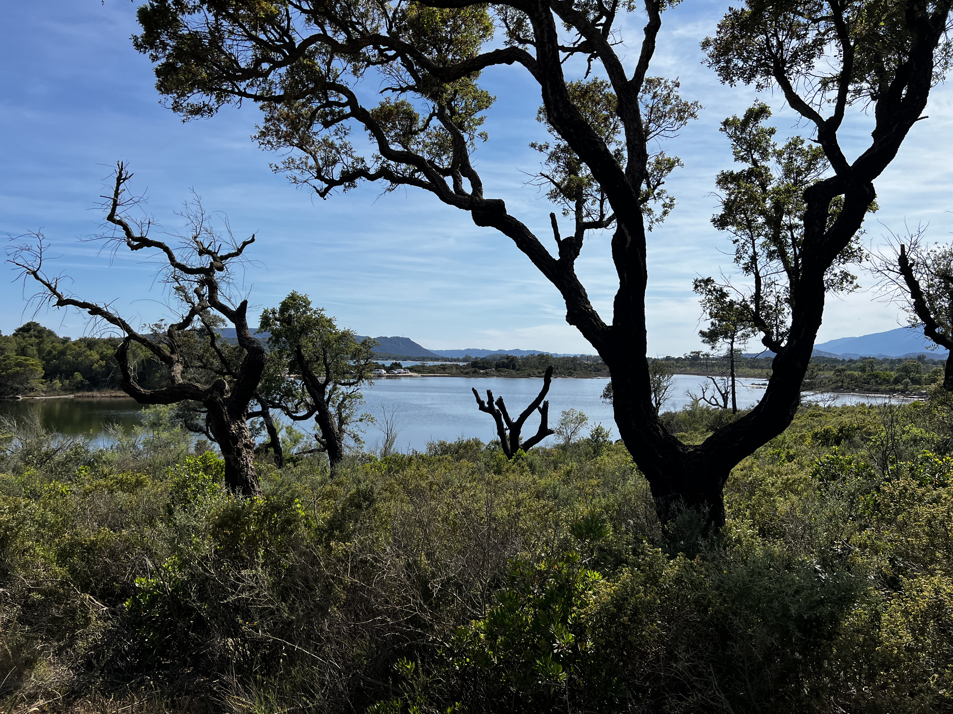 Picture France Corsica San Cyprien Bay 2024-05 12 - Recreation San Cyprien Bay