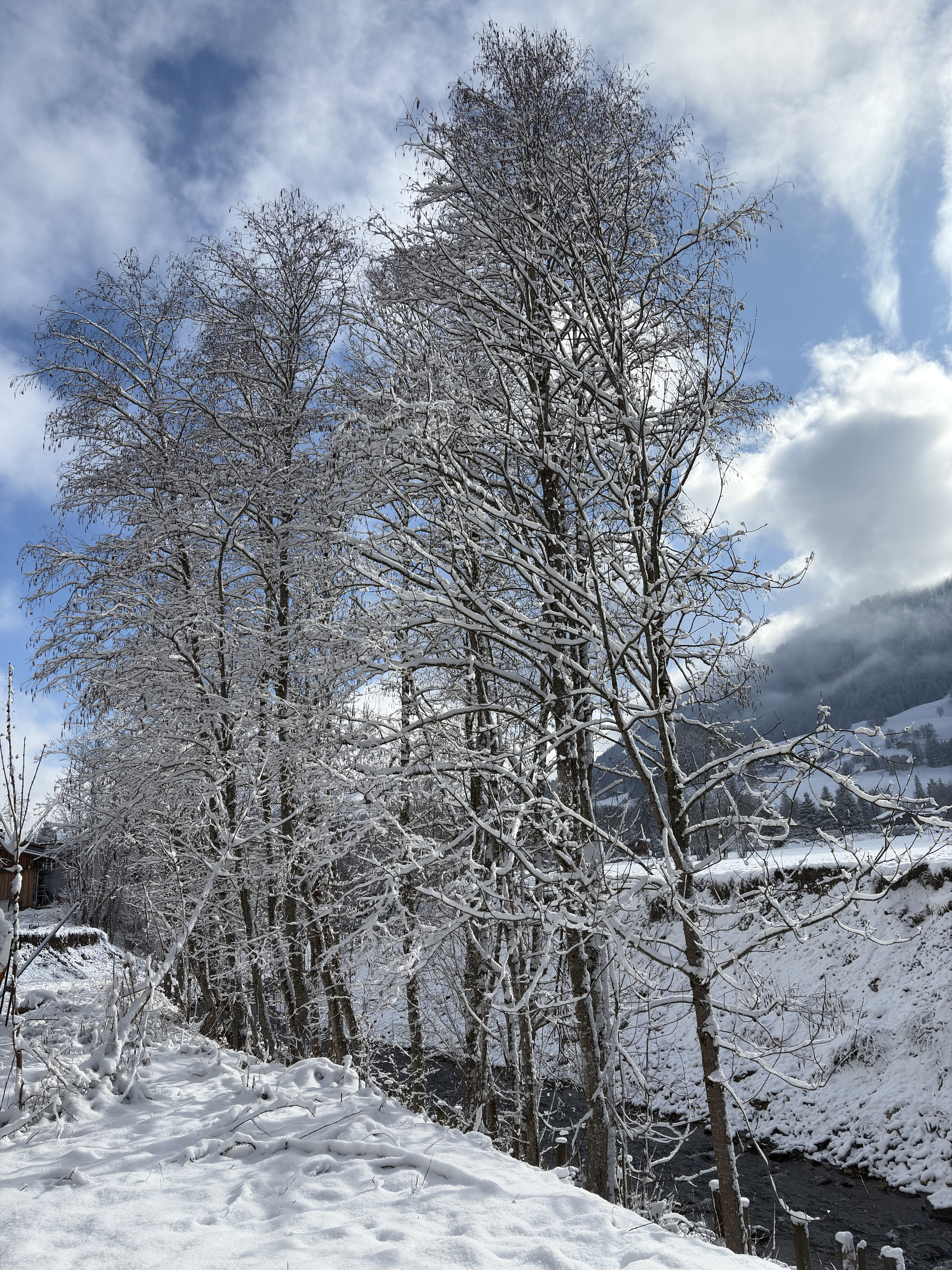 Picture France Praz sur Arly 2025-02 87 - Center Praz sur Arly