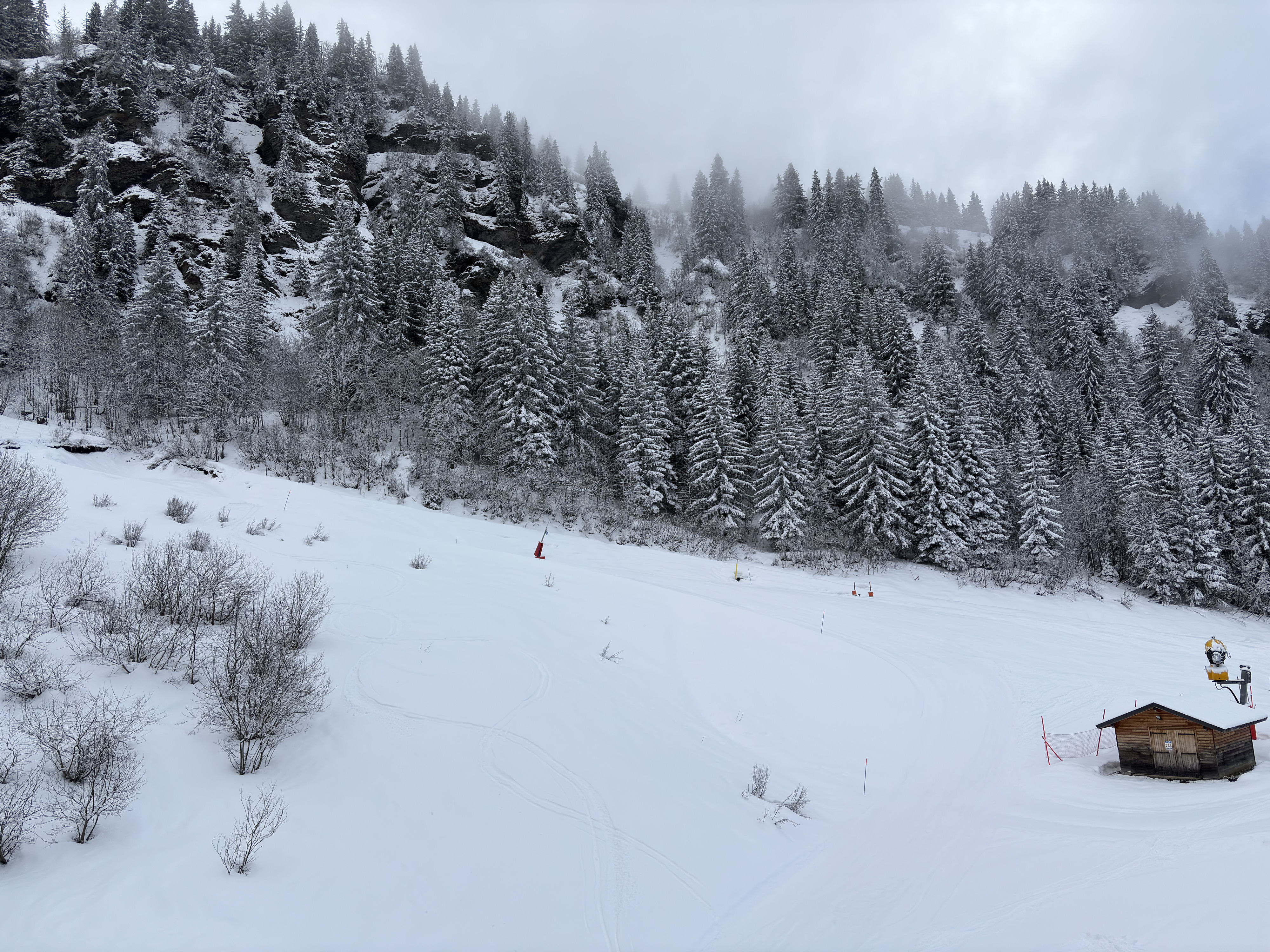 Picture France Praz sur Arly 2025-02 69 - Around Praz sur Arly