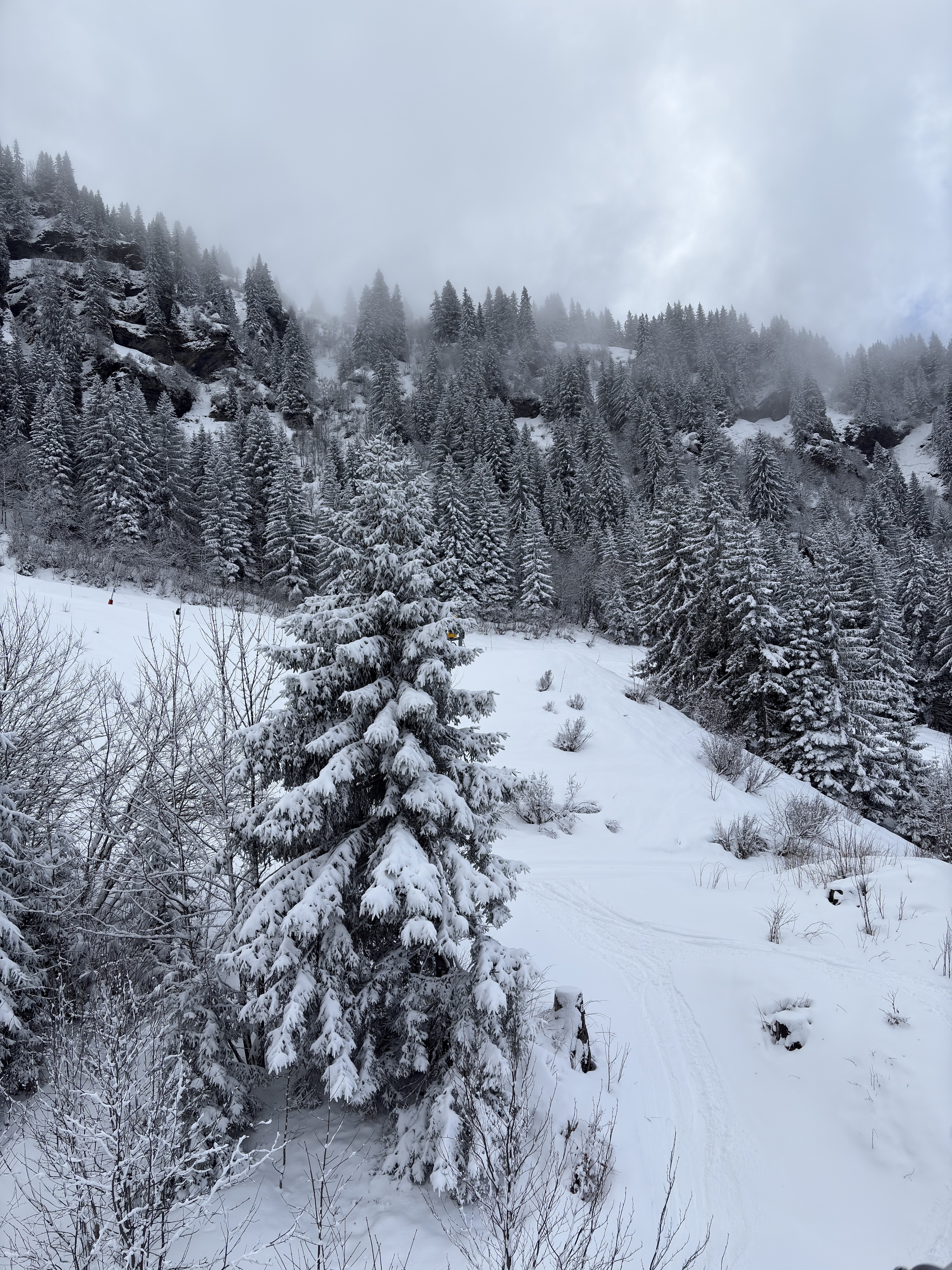 Picture France Praz sur Arly 2025-02 55 - Tour Praz sur Arly