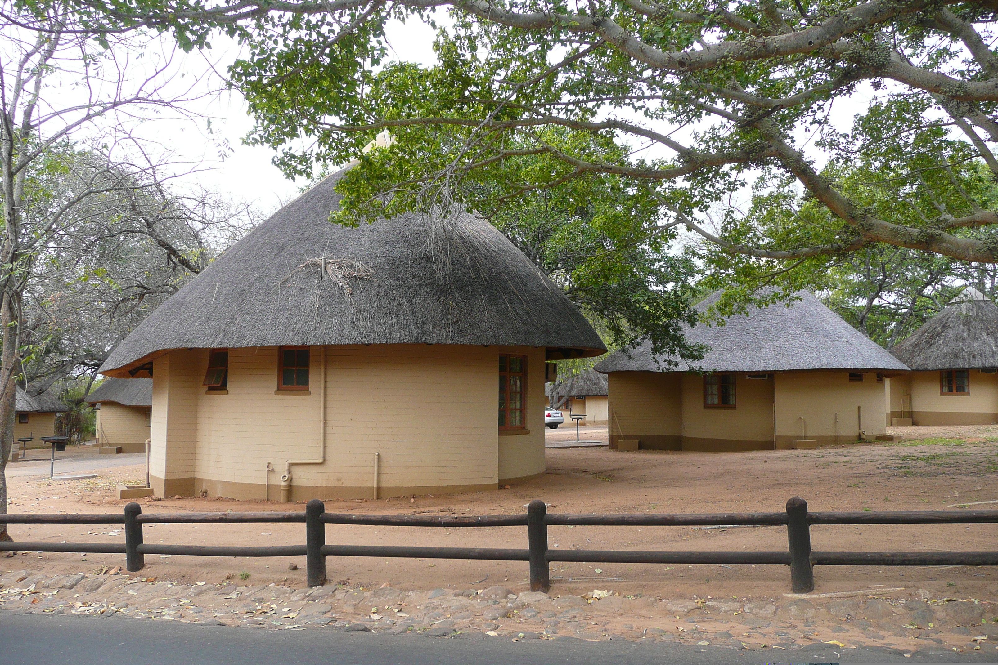 Picture South Africa Kruger National Park 2008-09 22 - Tours Kruger National Park