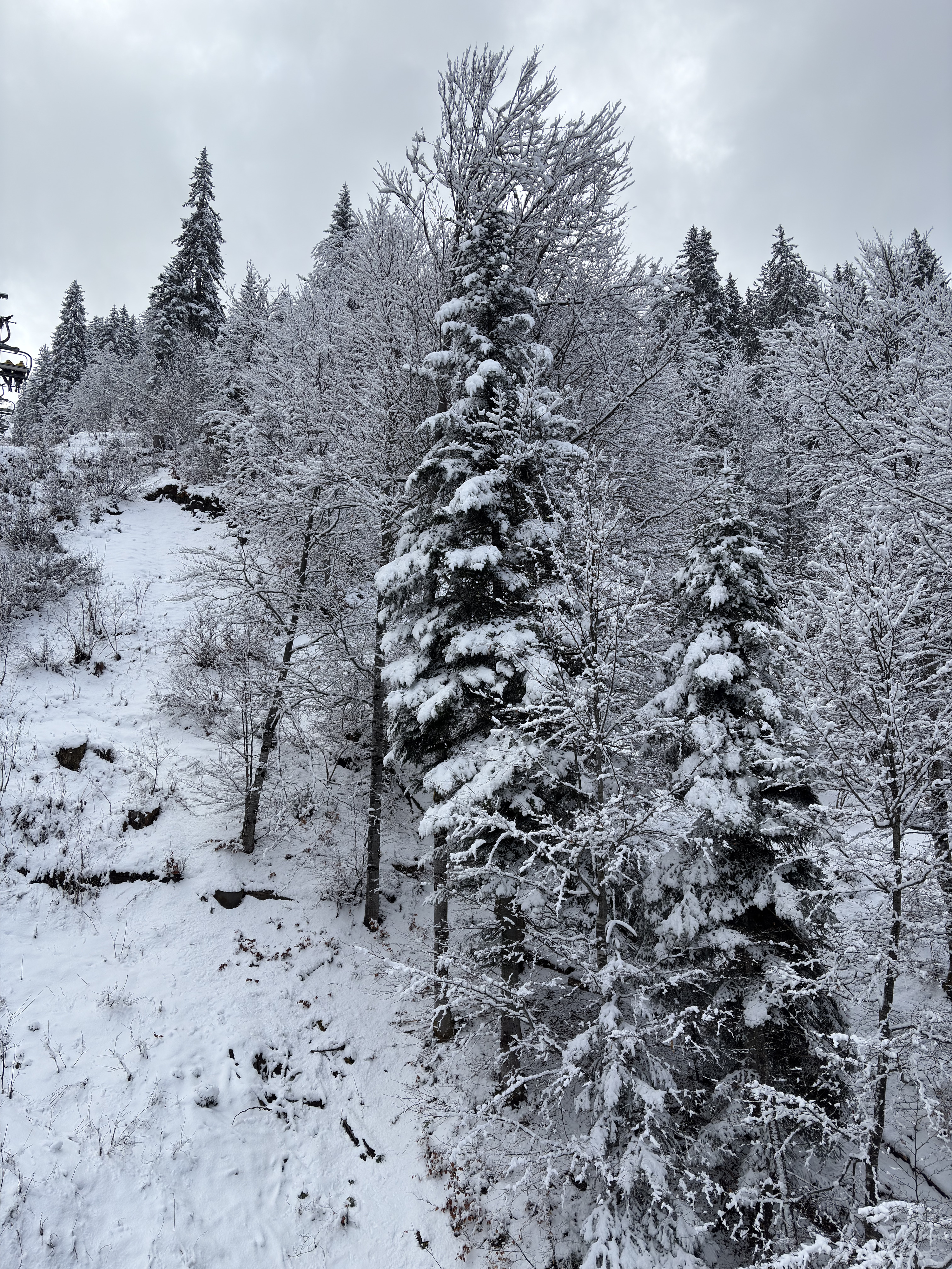 Picture France Praz sur Arly 2025-02 6 - Recreation Praz sur Arly