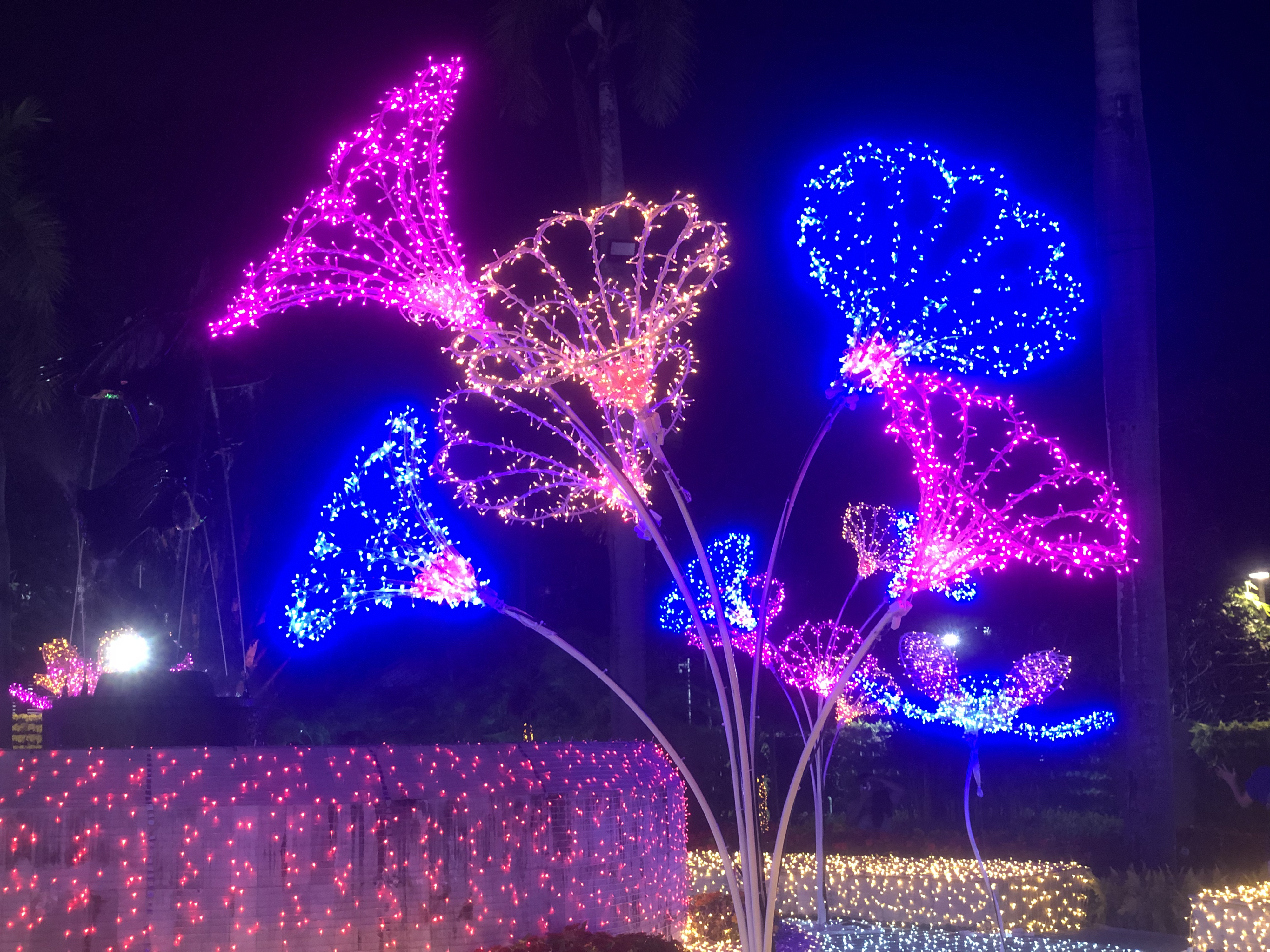 Picture Thailand Chiang Mai Nong Buak Haad Public Park 2024-01 52 - Journey Nong Buak Haad Public Park
