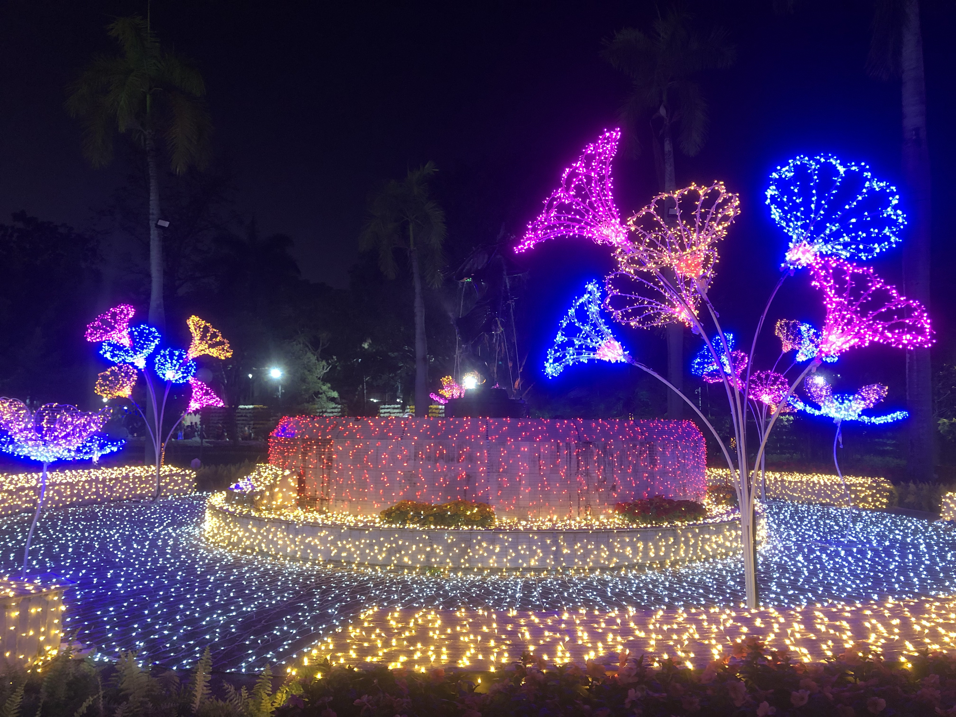 Picture Thailand Chiang Mai Nong Buak Haad Public Park 2024-01 57 - Center Nong Buak Haad Public Park
