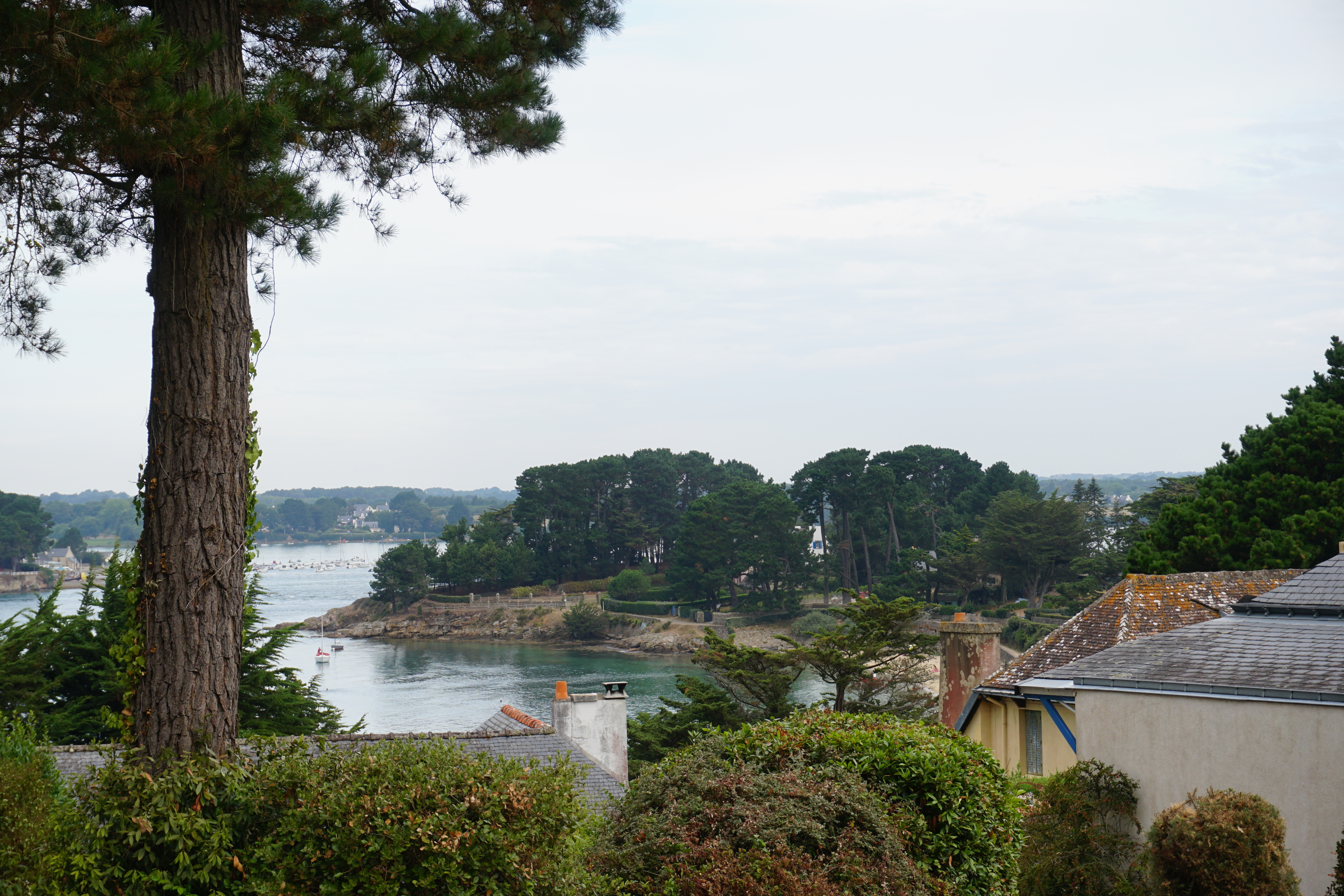 Picture France Ile-aux-Moines 2016-08 98 - Recreation Ile-aux-Moines