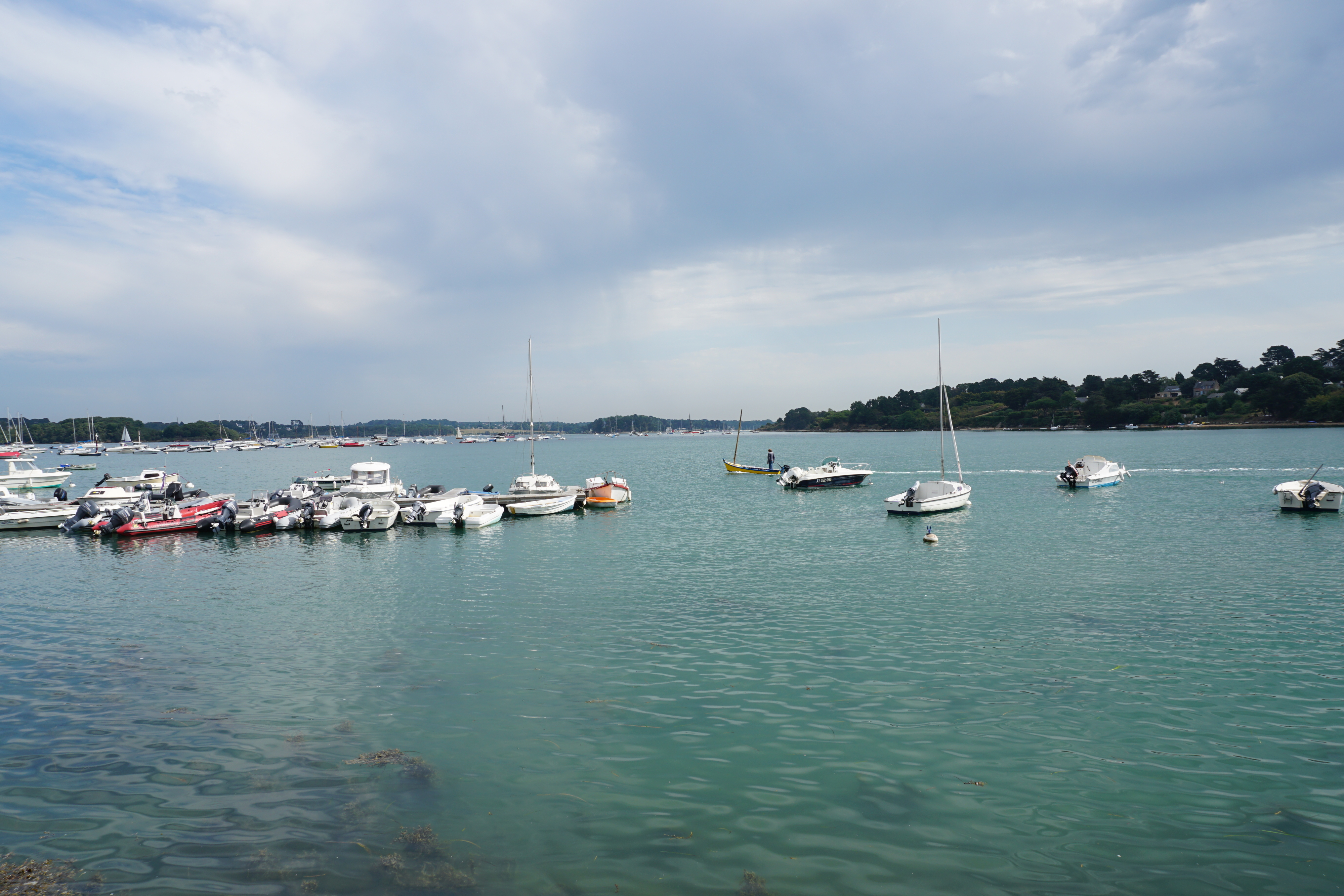 Picture France Ile-aux-Moines 2016-08 57 - Discovery Ile-aux-Moines