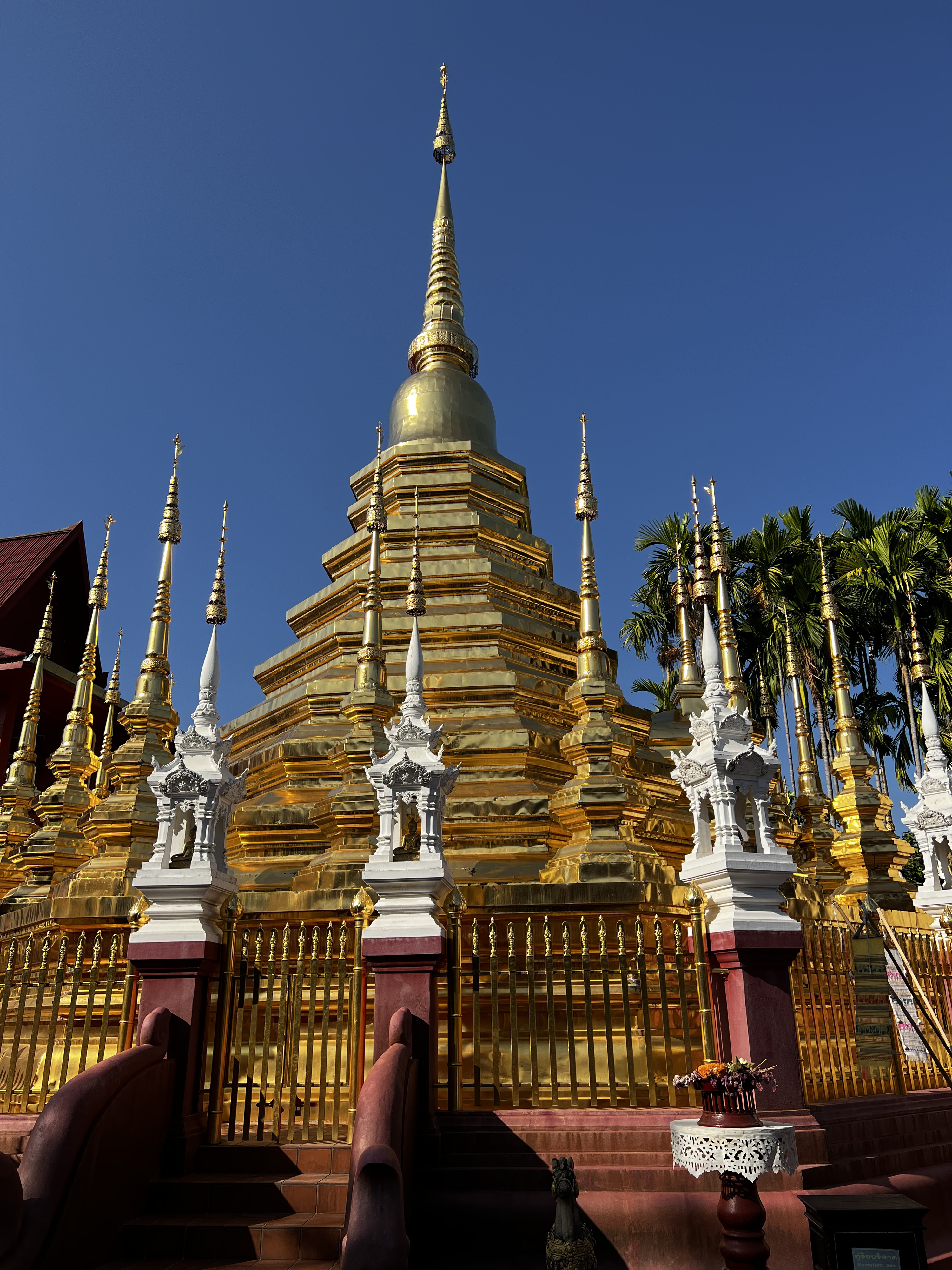 Picture Thailand Chiang Mai 2024-01 25 - Tours Chiang Mai