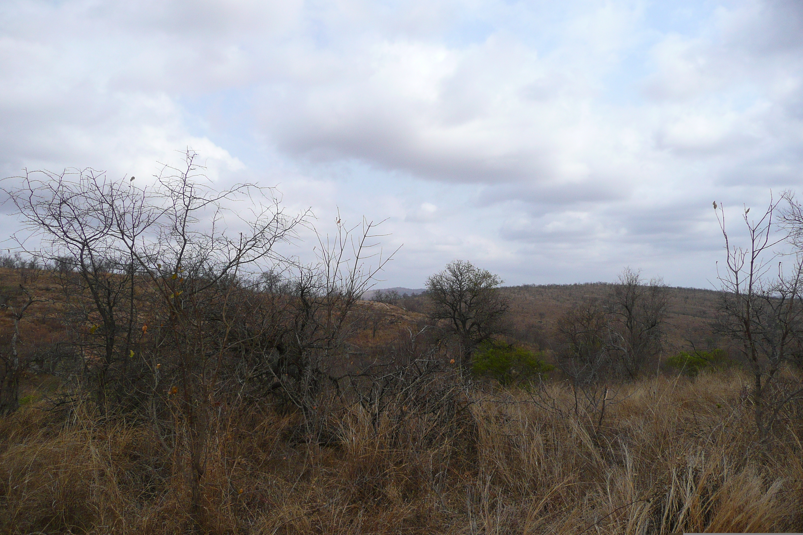 Picture South Africa Kruger National Park 2008-09 153 - Recreation Kruger National Park