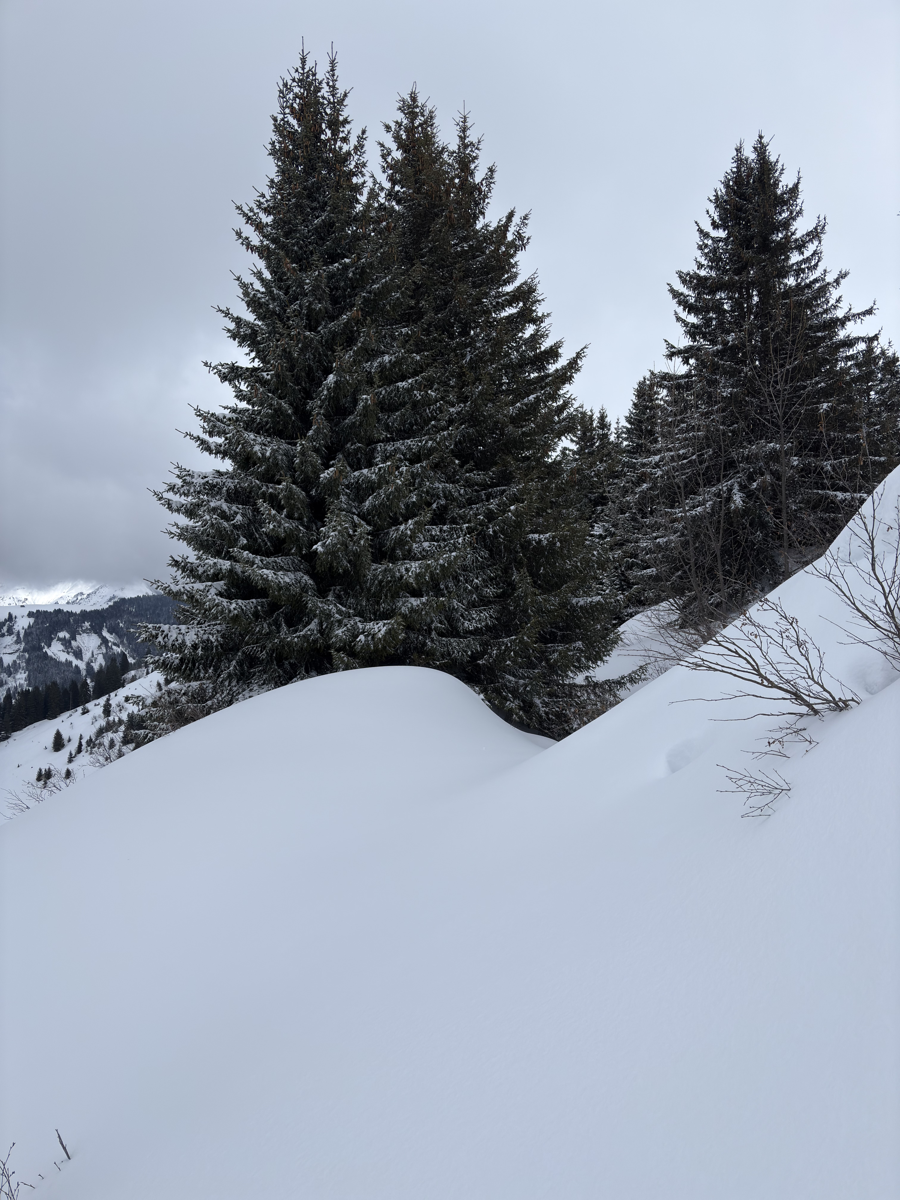 Picture France Praz sur Arly 2025-02 80 - Recreation Praz sur Arly