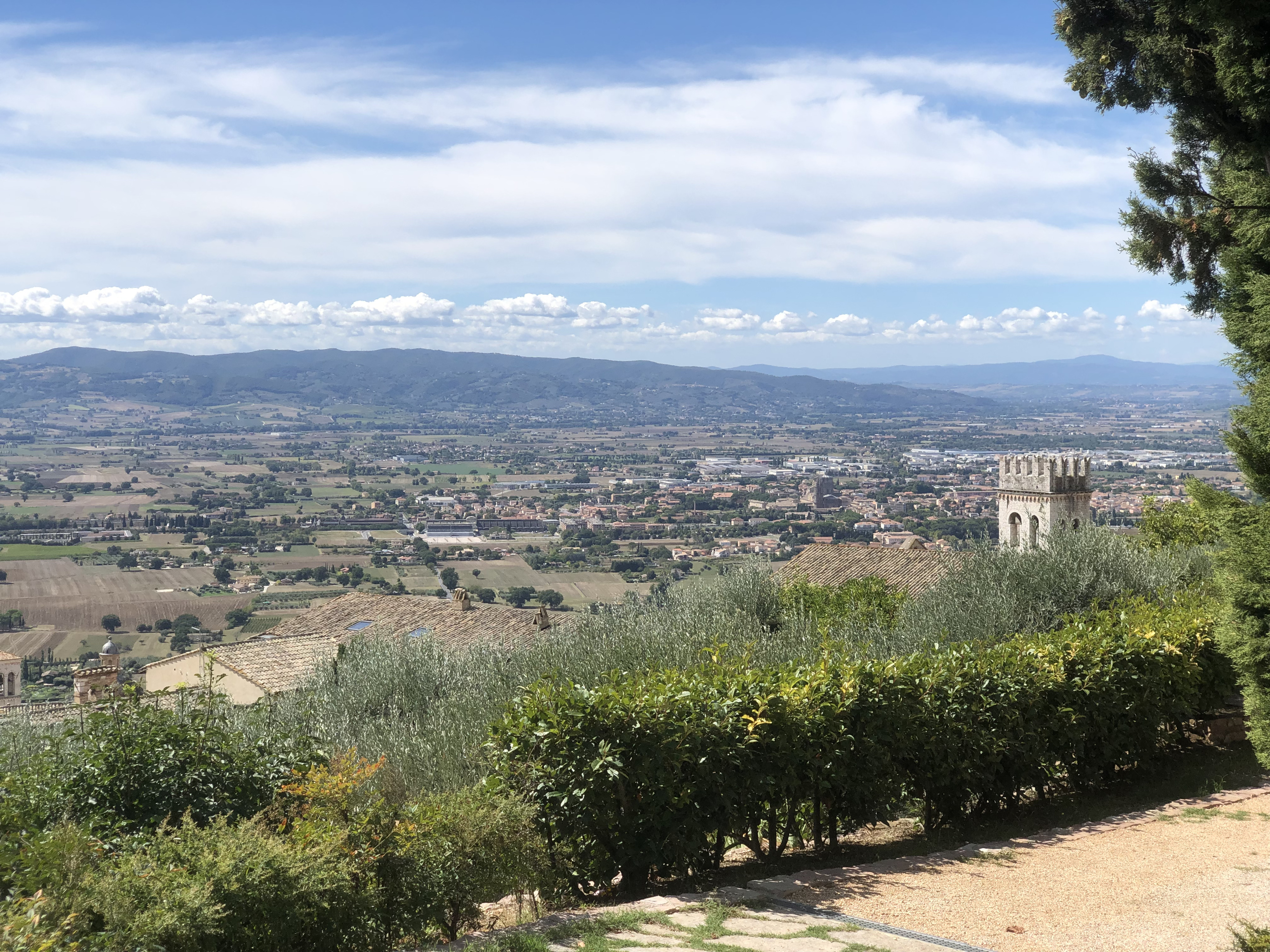 Picture Italy Assisi 2024-09 159 - Discovery Assisi