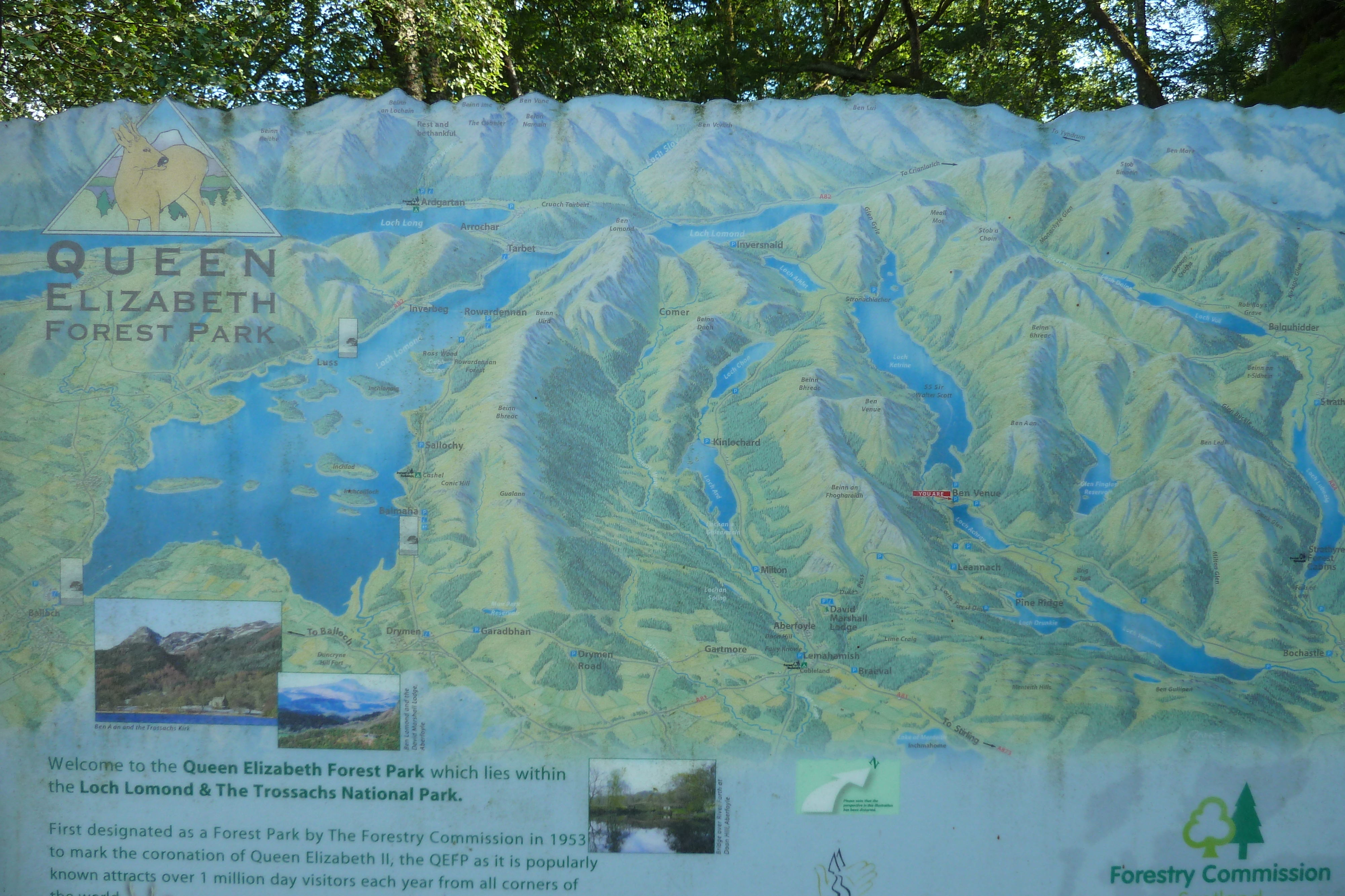 Picture United Kingdom The Trossachs 2011-07 86 - Center The Trossachs