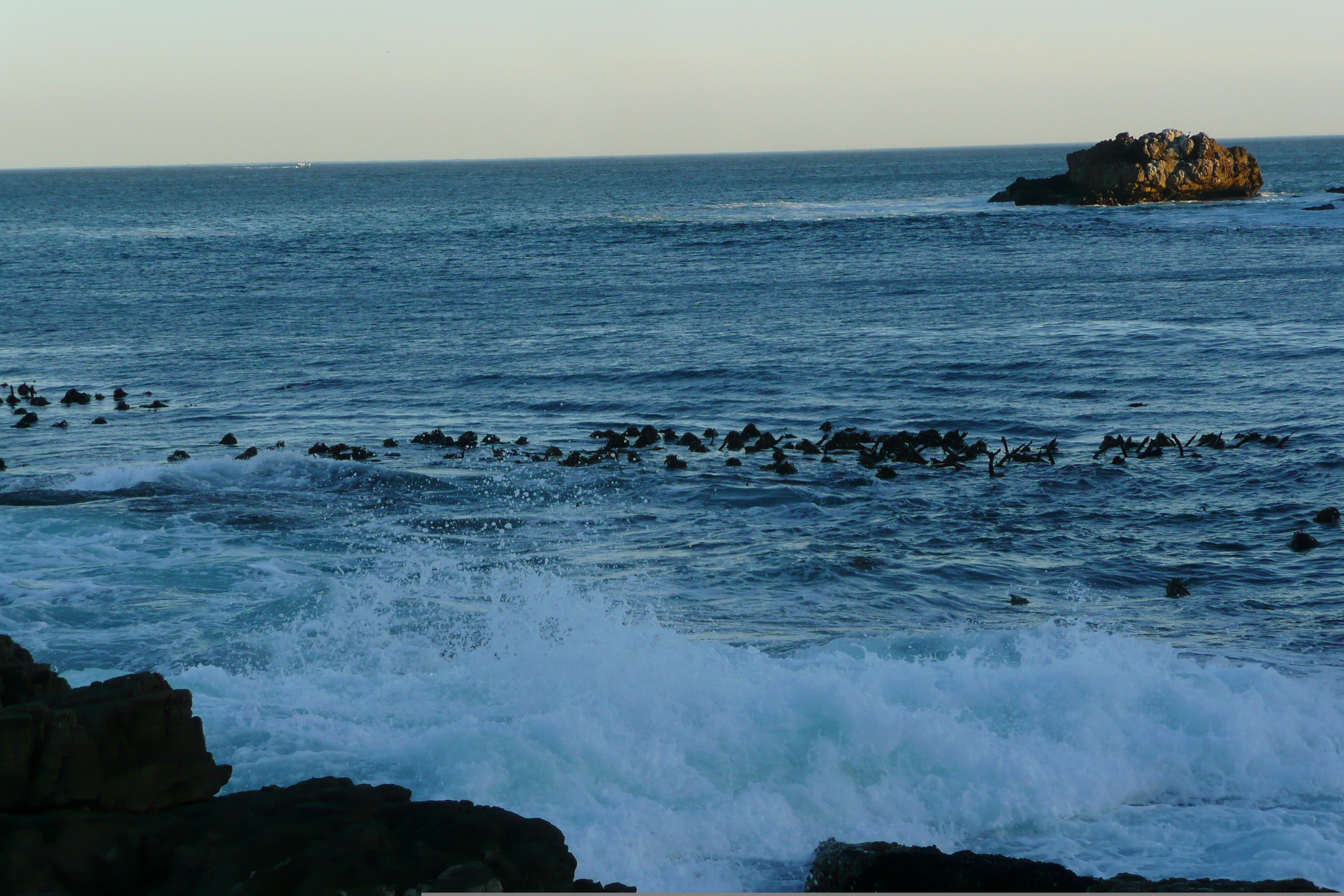 Picture South Africa Harmanus 2008-09 272 - Discovery Harmanus