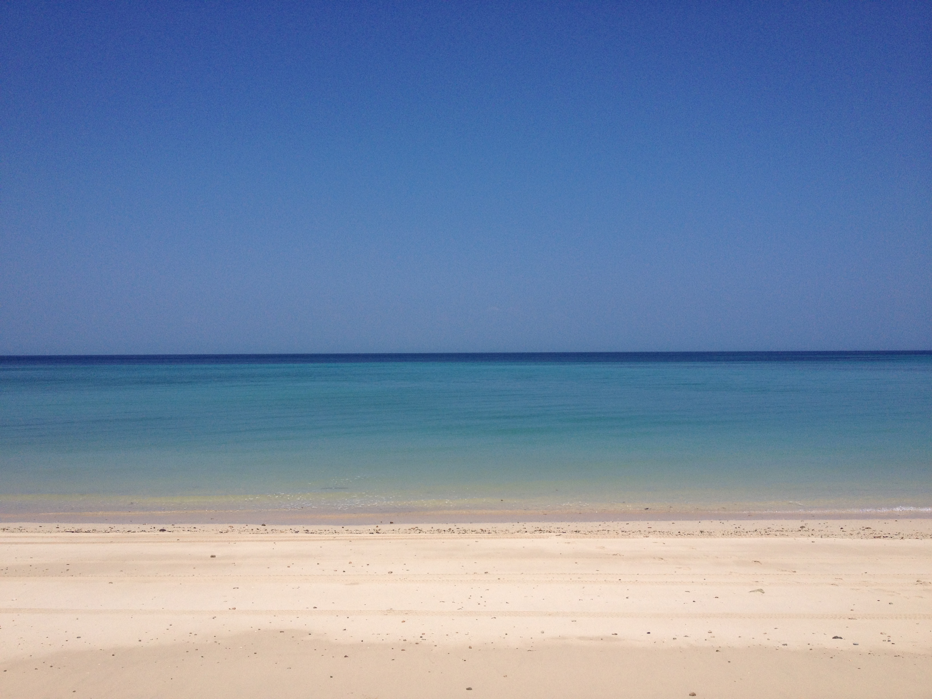 Picture Panama Contadora Island 2015-03 54 - Tours Contadora Island