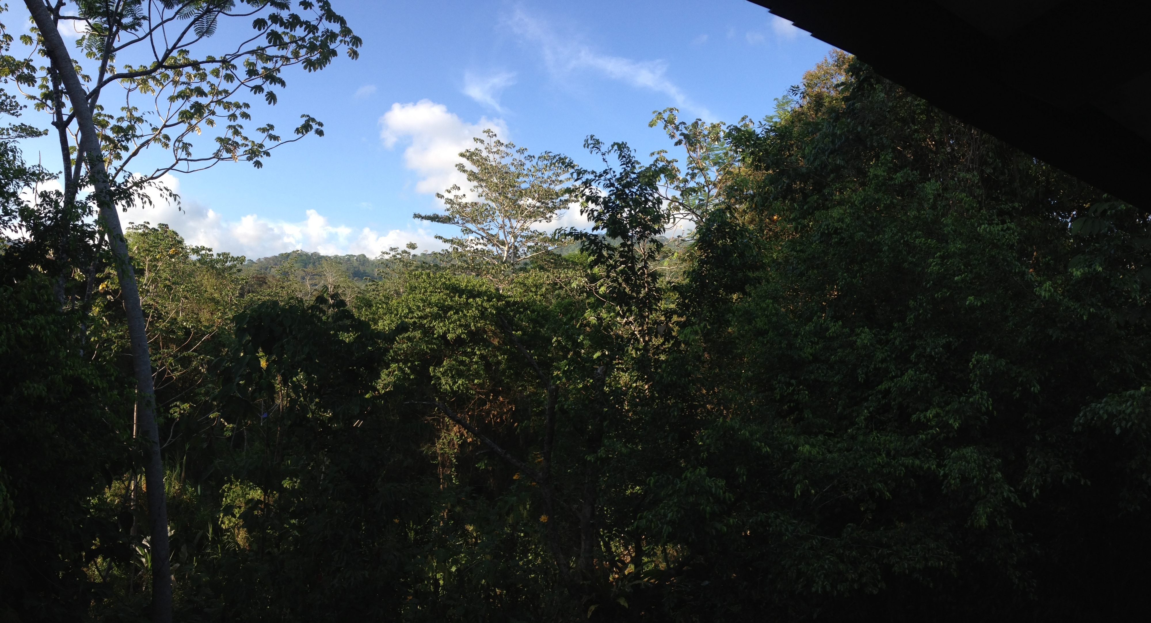 Picture Costa Rica Uvita 2015-03 59 - Tours Uvita
