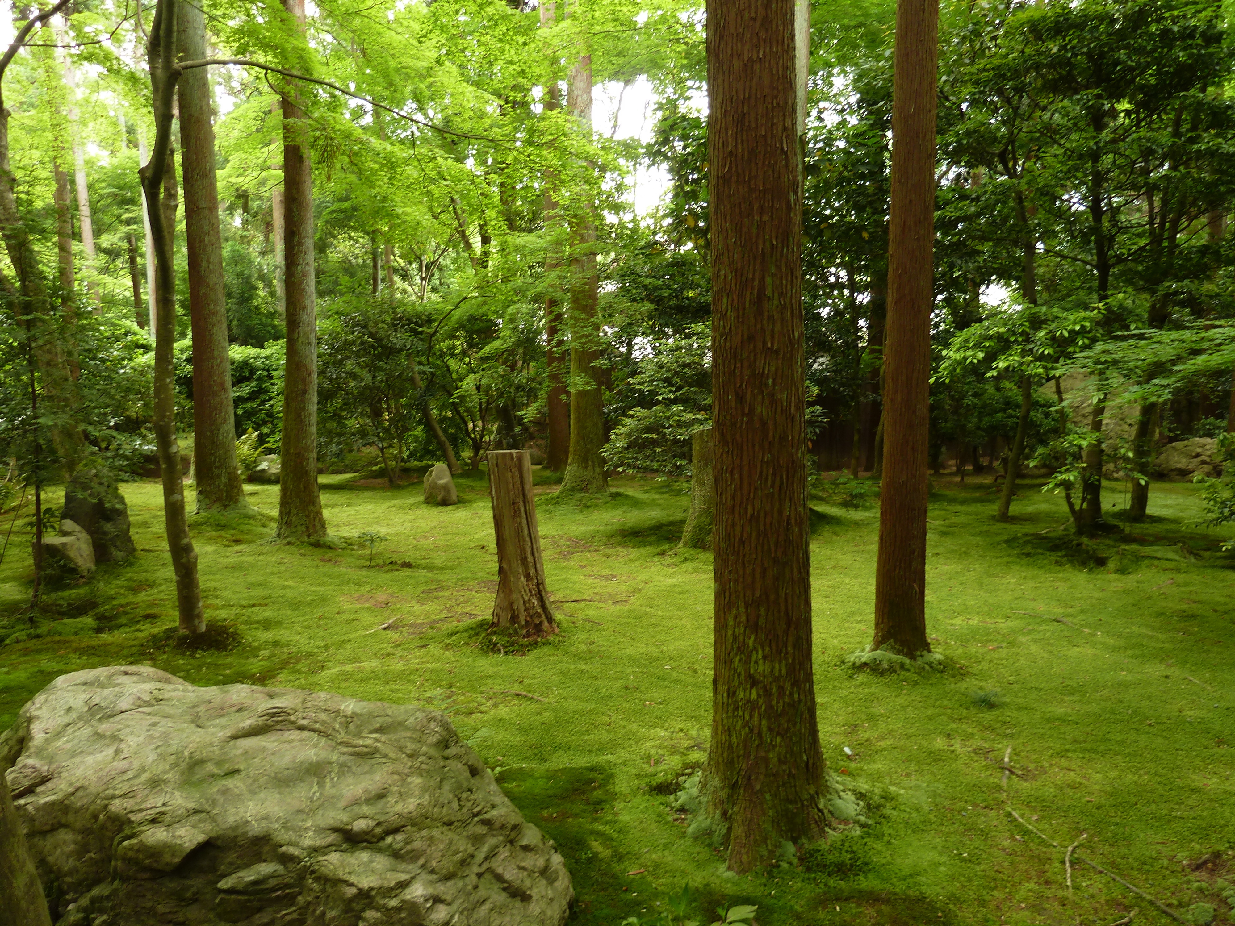 Picture Japan Kyoto Ryoanji Temple 2010-06 53 - Recreation Ryoanji Temple