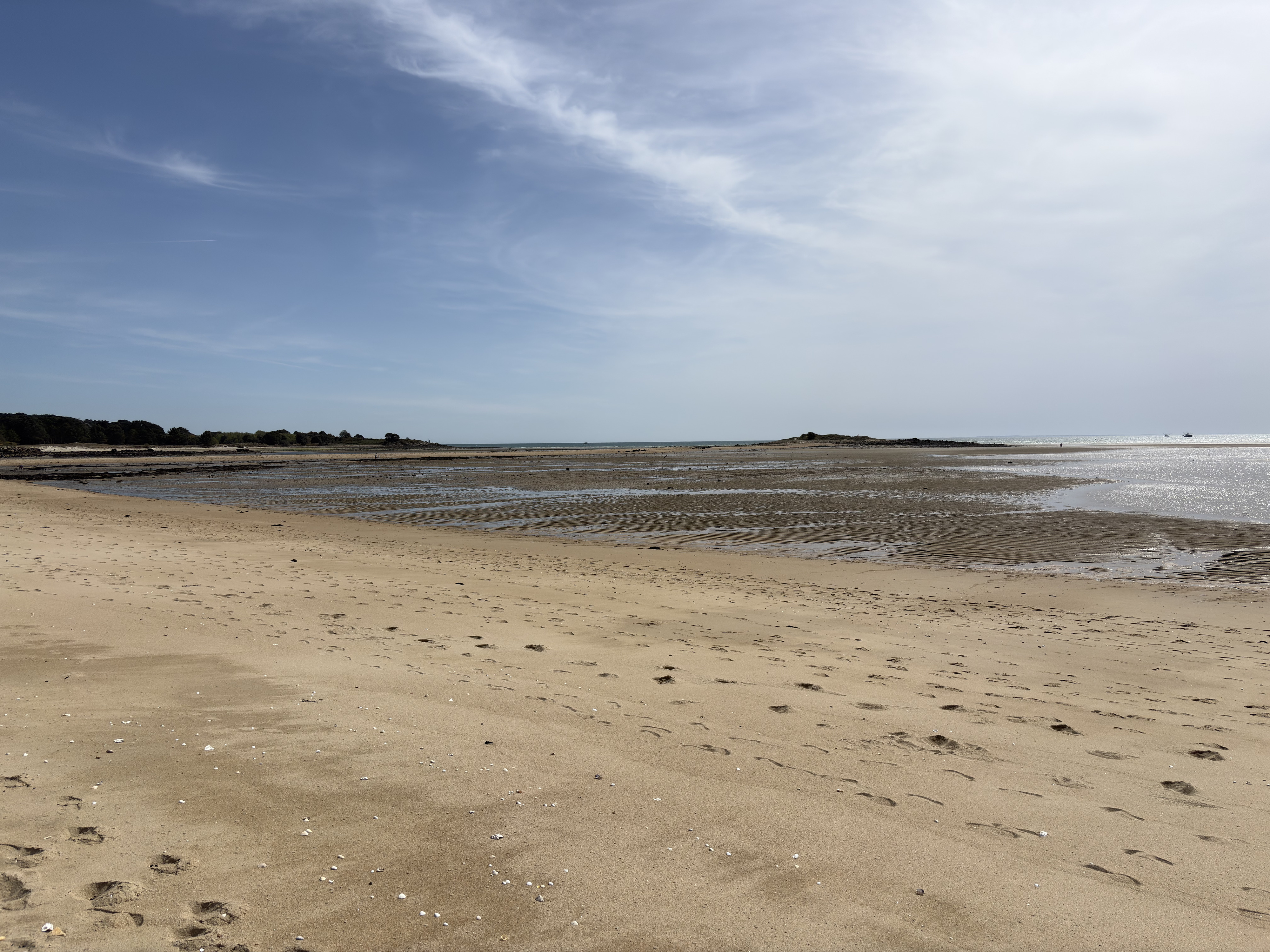 Picture France La Trinité sur Mer 2026-04 39 - Discovery La Trinité sur Mer