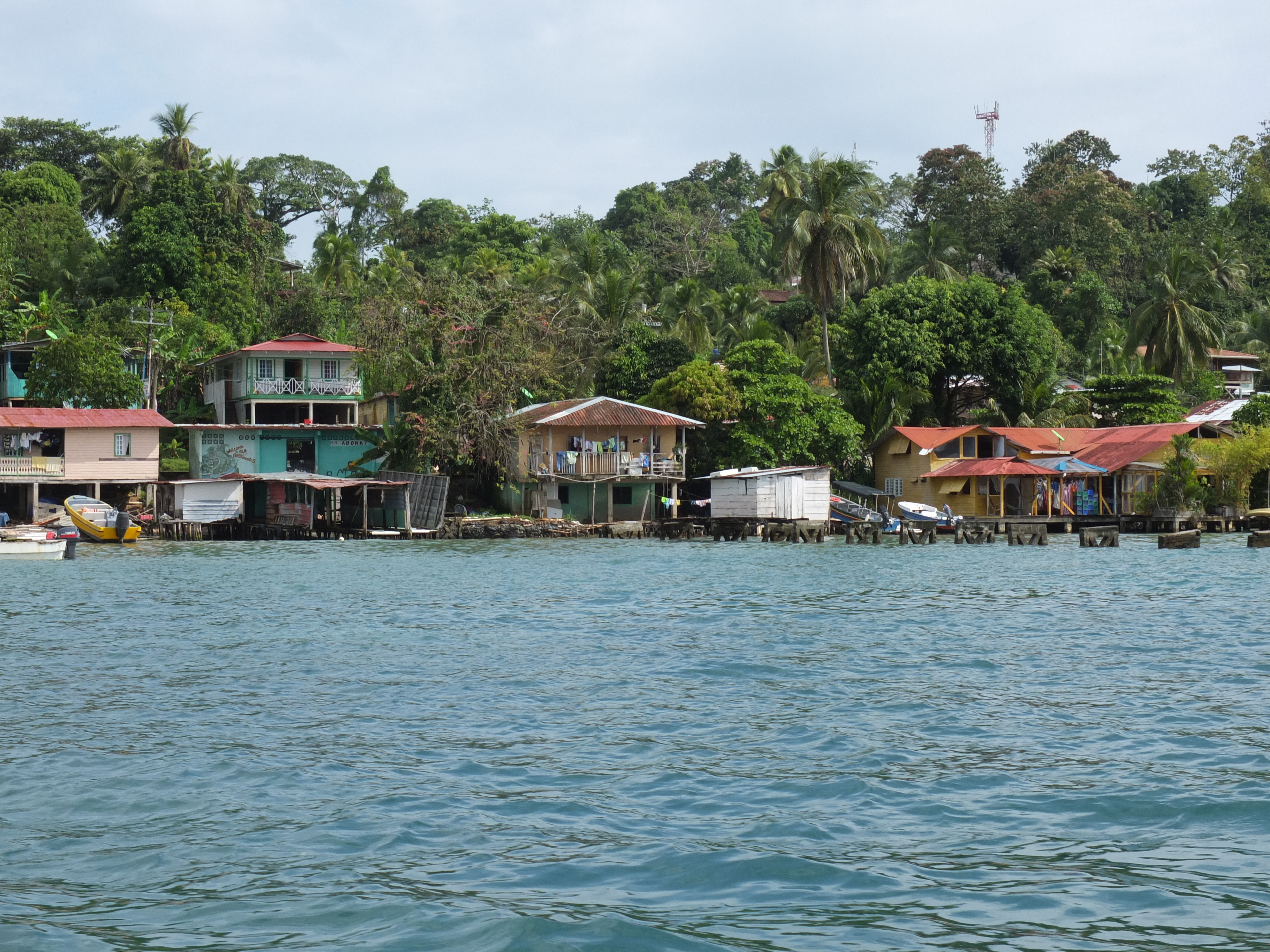 Picture Panama Bastimentos 2015-03 9 - Around Bastimentos