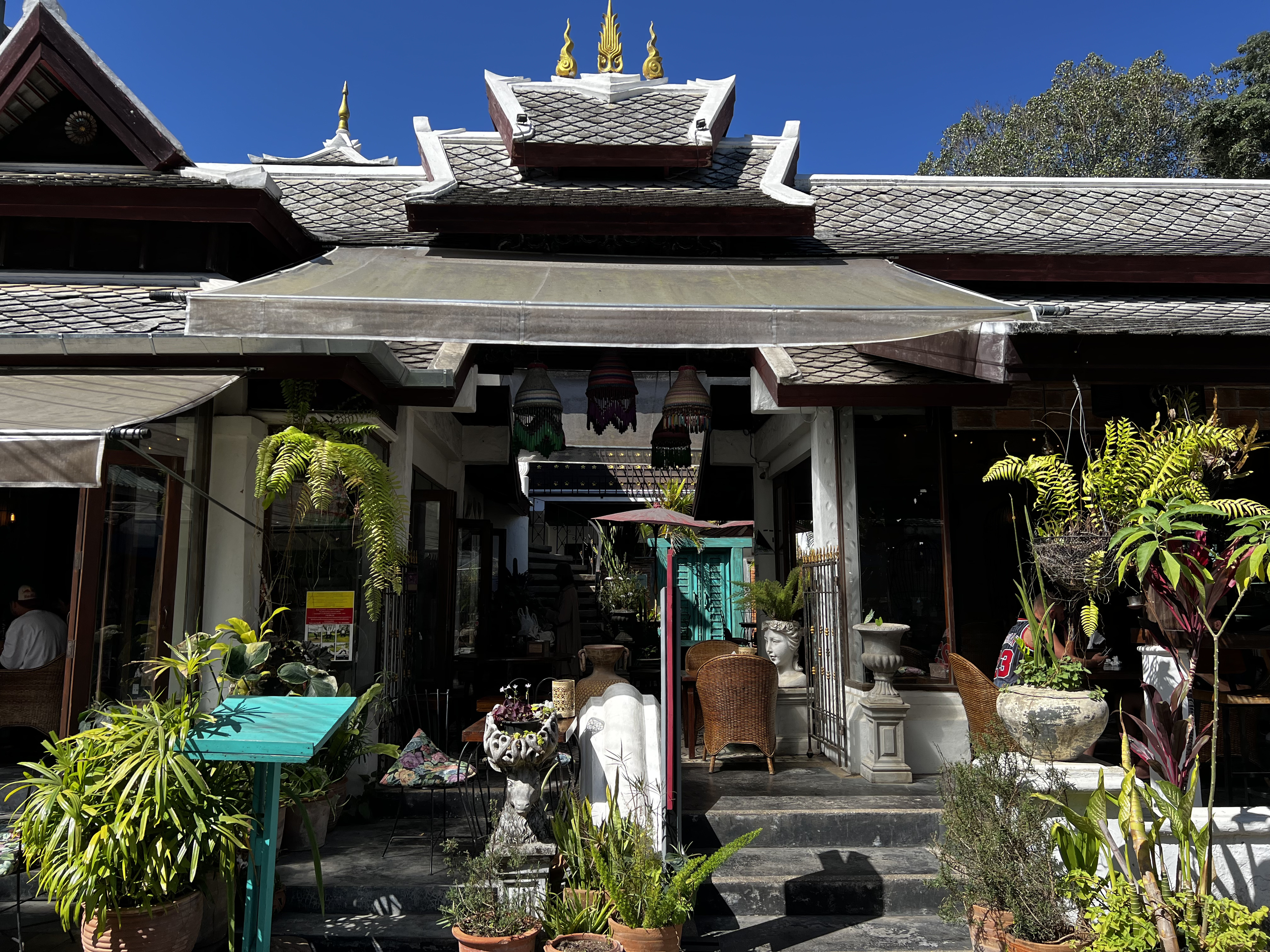 Picture Thailand Pai 2024-01 0 - Center Pai