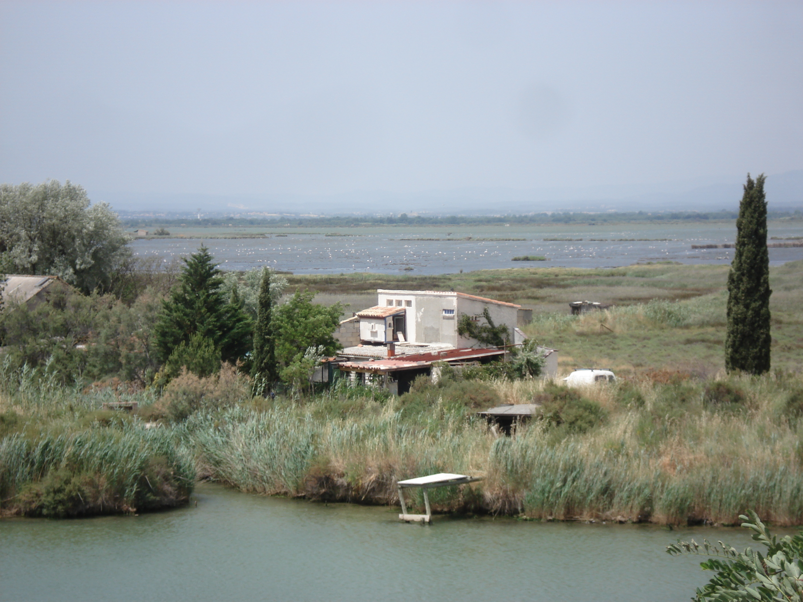 Picture France Camargue 2006-06 13 - Around Camargue