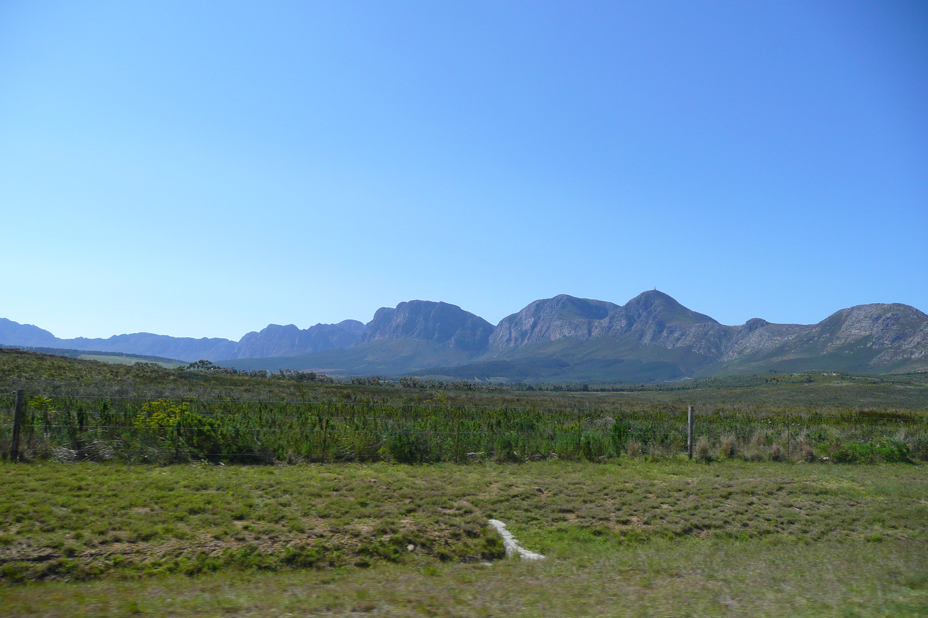 Picture South Africa Cape Town to Harmanus road 2008-09 64 - Around Cape Town to Harmanus road