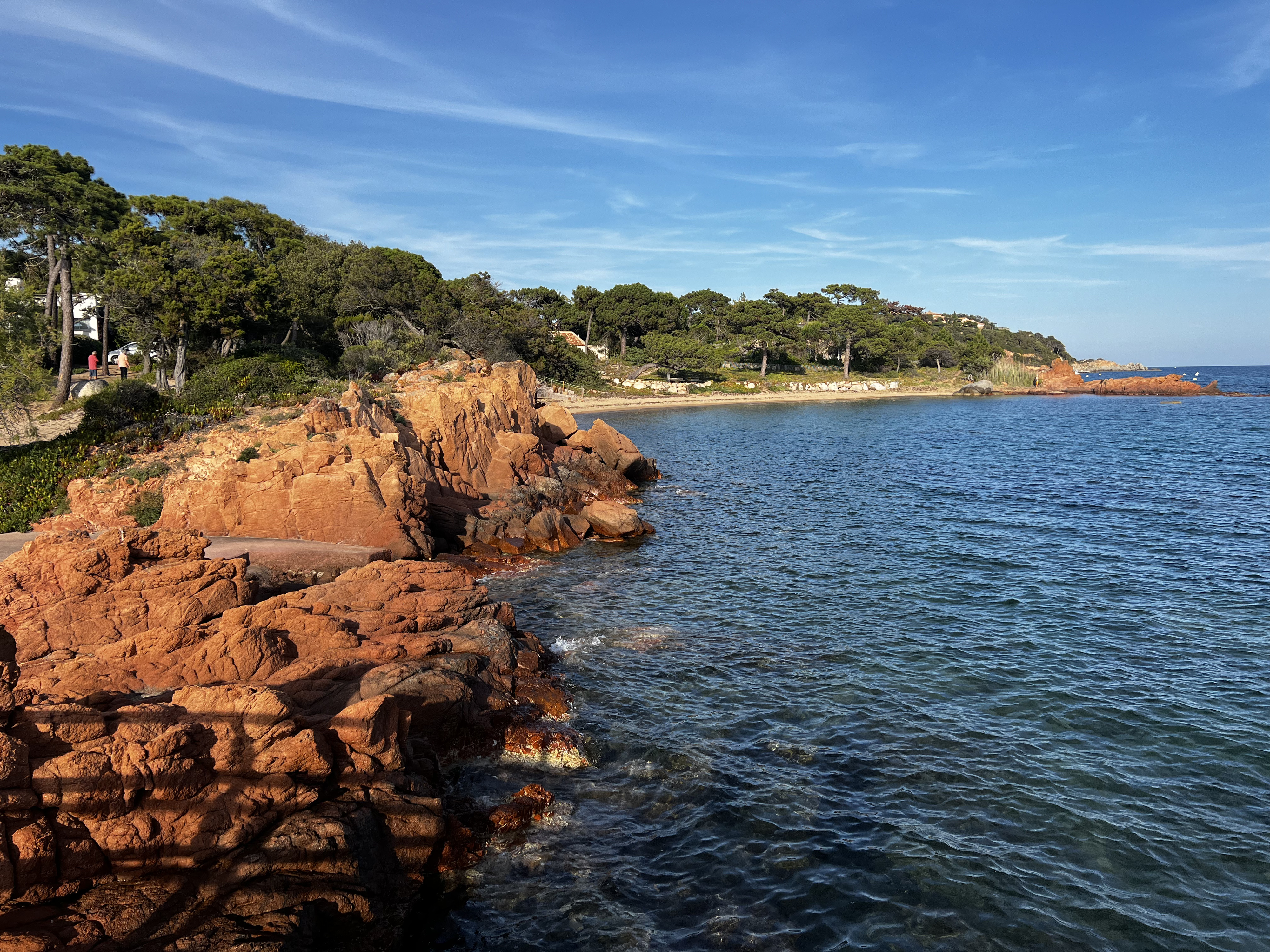 Picture France Corsica ⁨Cala Rossa⁩ 2024-05 26 - Center ⁨Cala Rossa⁩