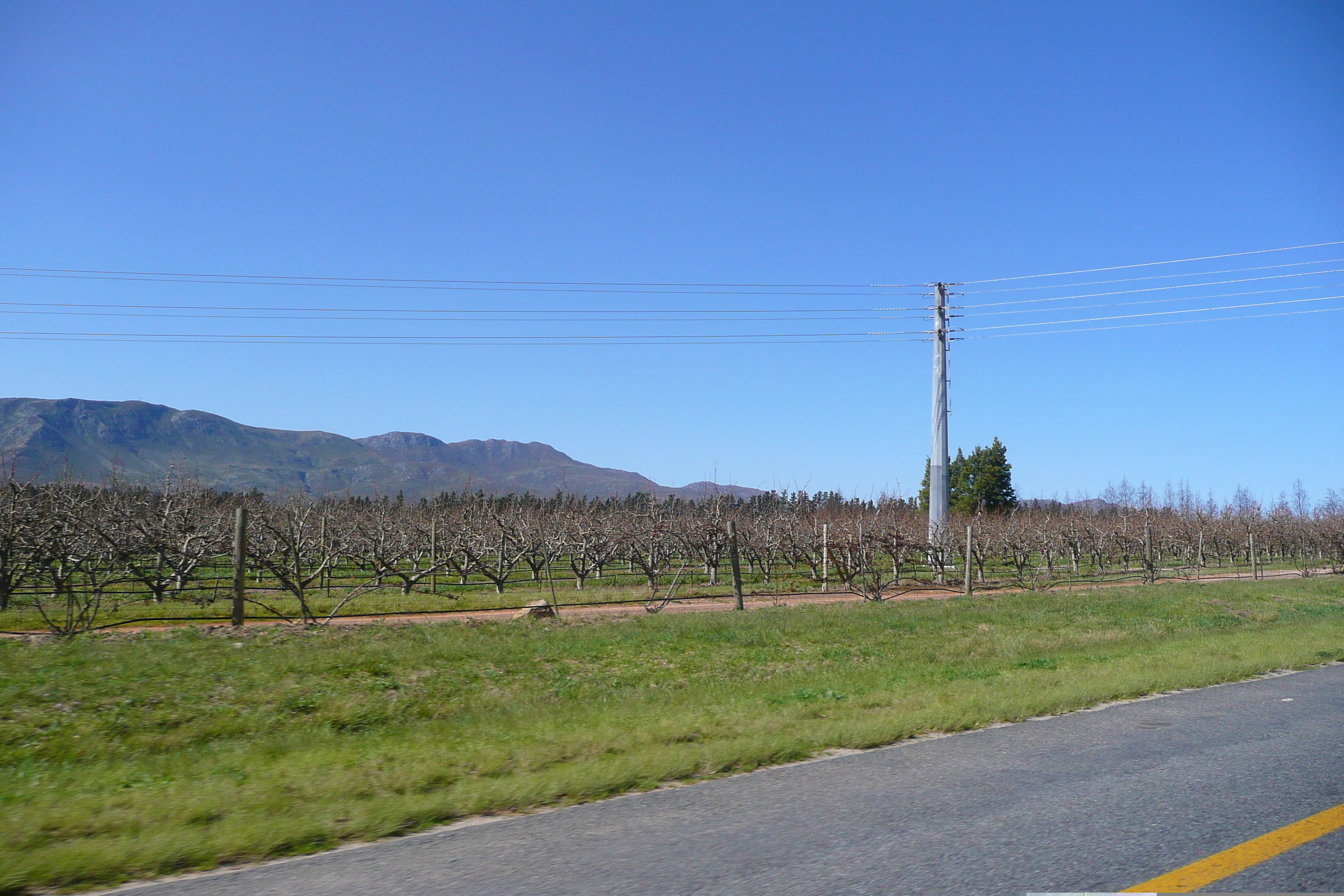 Picture South Africa Cape Town to Harmanus road 2008-09 20 - Tours Cape Town to Harmanus road