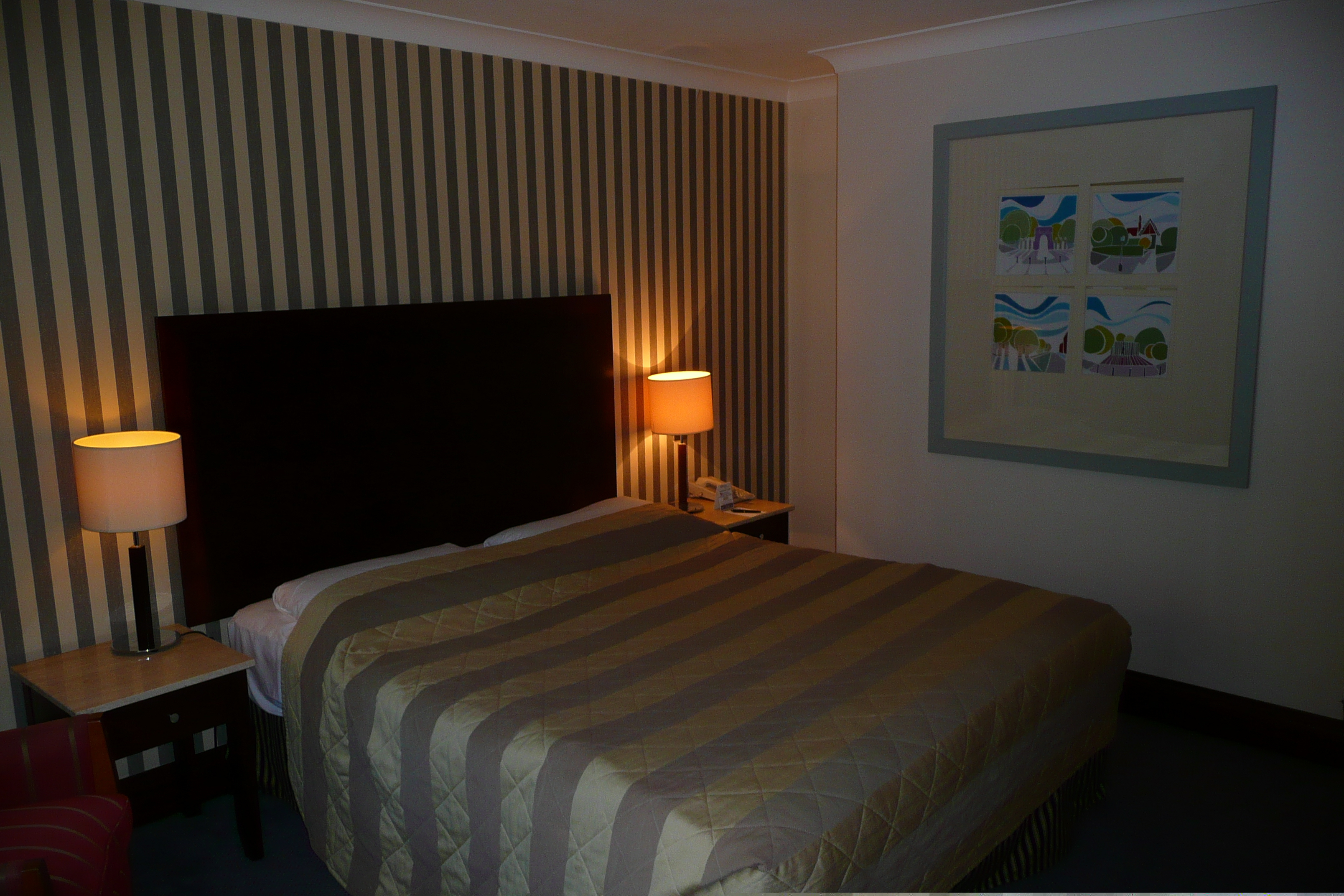 Picture Ireland Dublin Stephen's Green Hotel 2008-09 10 - Tour Stephen's Green Hotel
